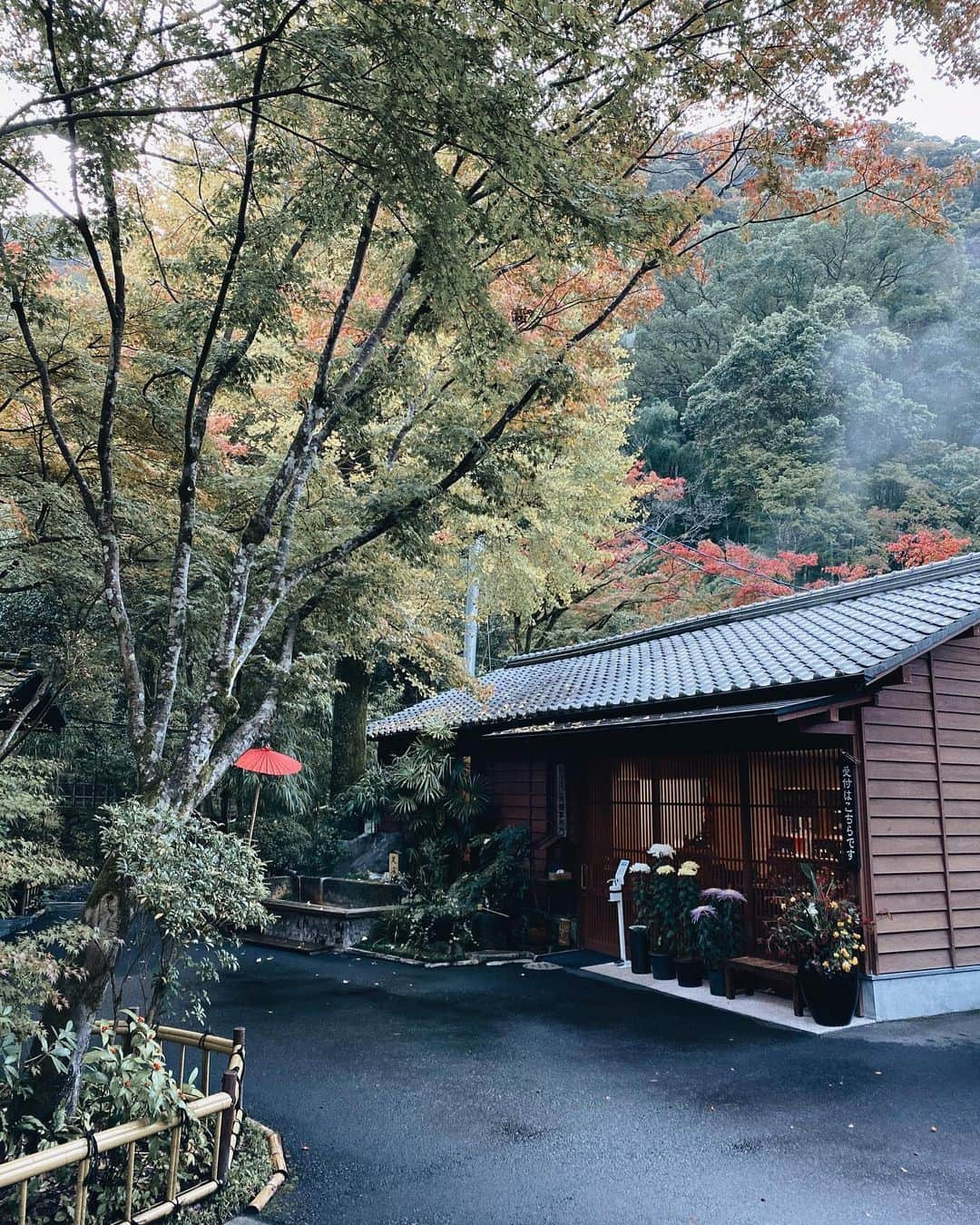 永田杏奈さんのインスタグラム写真 - (永田杏奈Instagram)「・  先日行ったおすすめ宿。 鹿児島の妙見温泉のお湯が好きで、この辺りの温泉宿によく行くのだけど、おりはし旅館は初。  創業140年の歴史ある宿。 増築されているので、お部屋は広くて綺麗で旅館というより小さな一軒家という感じ。 田舎のおばあちゃんのお家に来たような落ち着き感👵 お部屋に水風呂までついていて、お部屋のお風呂と思えない程立派でした♨️  'まとめ'機能に私のおすすめ宿をピックしてみたので、旅行の参考になったら嬉しいです💁‍♀️  #annastrip📍  #温泉旅行 #鹿児島旅行 #鹿児島観光　#おりはし旅館 #妙見温泉」12月5日 10時24分 - annanagata