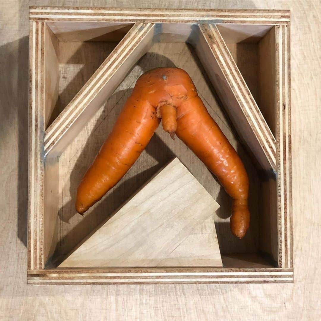 エイミー・シューマーさんのインスタグラム写真 - (エイミー・シューマーInstagram)「Carrot preservation process has begun. #thisisacarrot」12月5日 10時55分 - amyschumer