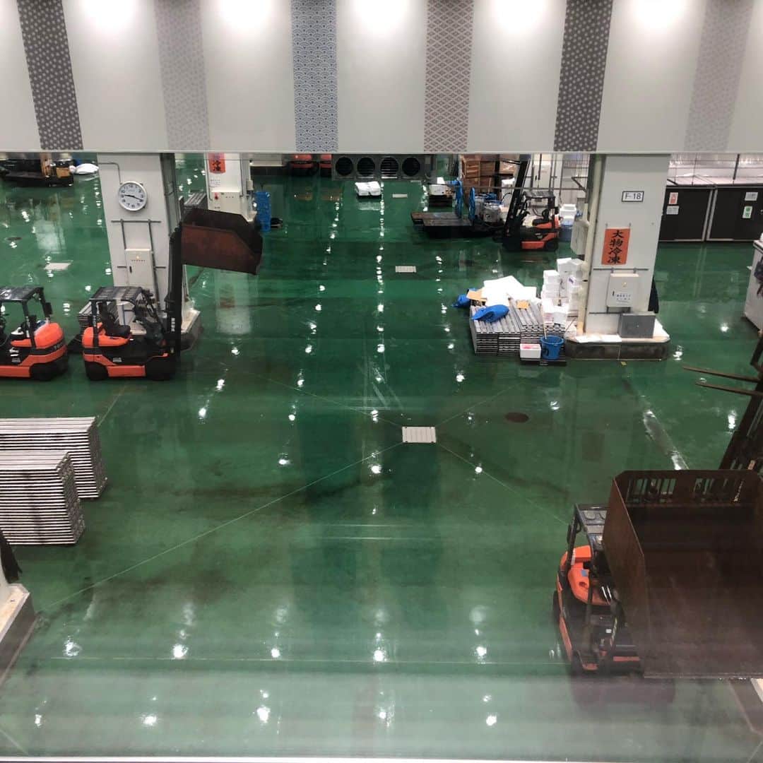 のインスタグラム：「豊洲市場。 いや、行き当たりばったりで行った僕も悪かった。 にしても 「今日、見学できるみたい！」 と喜んで見学コースに入ったら、完全に空っぽの市場！ ただただ緑の床を眺めつつ、今僕は一体何を見学してるんだろう？？というシュールな感覚。 入り口で一言「今は市場やってませんよ」と言って欲しかった。。 しかし、大和寿司にほぼ並ばずに入れるというご褒美が待っていた！ 豊洲に移ってからは初めて、築地でも最後の１０年以上はとても並べず入れなかった大和。 結局、朝から得した気分。」