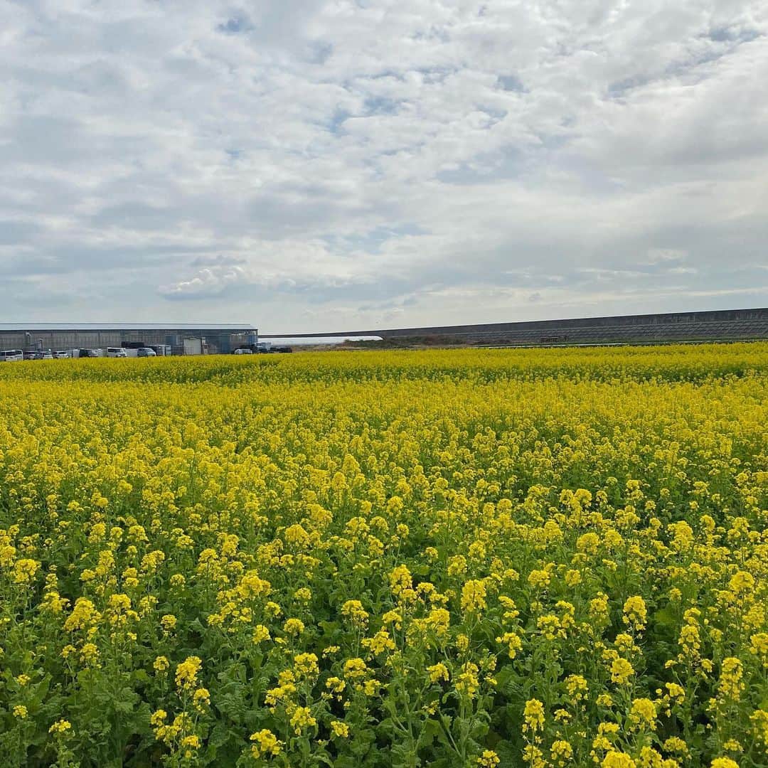 どさけんのグルメインスタ