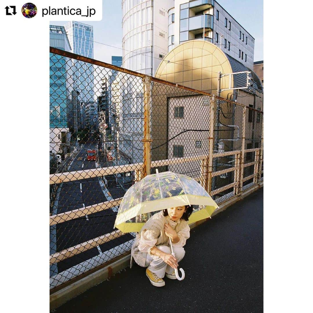 イアリサさんのインスタグラム写真 - (イアリサInstagram)「#Repost みんな見てケロ🐸 @plantica_jp with @make_repost ・・・ Wpc. x plantica のフラワーアンブレラ・シリーズ。季節毎にお願いしている様々なアーティストのシューティング企画。2020年秋冬は写真家 @aya_dream04 による撮り下ろしルック。﻿ ﻿ ４人目のモデルは @_i.arisa_ さん。アパレルのPRで、若槻千夏さんのブランド「WCJ」の担当を兼務しながら、先日Ayaさんとの共同ブランド @asebi___ を始めています。﻿ ﻿ ミモザ特有の柔らかい黄色のプリント柄、ミモザは春の時期に咲く花ですが、秋の夕暮れの西日に照らされるシチュエーションも趣きがありますね。暖色系の秋冬コーデに花を添える感じで。雨でも、晴れでも、曇りでも、一年中、持ち歩きたくなるような、愛くるしいアイテム。﻿ ﻿ -﻿ 手に、花を。街に、華を。﻿ ﻿ 📷: @aya_dream04﻿ 👩🏻‍🦰: @_i.arisa_﻿ ☂️: @wpc_official﻿ 🏵: @plantica_jp﻿ ﻿ ☂️: FLOWER UMBRELLA﻿ Price: ¥2,300(w/o Tax)﻿ Size: 65cm﻿ Color: PURPLE﻿ Flower: ミモザ﻿ Flower language: 豊かな感受性 / 思いやり﻿ ﻿ 🔍: wpc plantica ﻿ 🎁: ZOZOTOWN / 楽天 / Amazon / その他﻿ 🏫: LOFT(ロフト) / MARUI(丸井) / その他﻿ ﻿ -﻿ 📍📝Dream Aya 📸 @aya_dream04﻿ ﻿ 2002年 dream (現Dream) に新加入し、デビュー。2011年よりガールズ エンタテイメント・プロジェクト“E-girls”の中心メンバーとしても活動を開始し、後にE-girlsの初代リーダーを務める。﻿ ﻿ 2017年7月16日ボーカル&パフォーマーを引退。引退後は株式会社 LDH JAPANで写真や絵などのアートな才能を活かしクリエイティヴ業に専念。﻿ ﻿ 2020年1月よりフリーランスで写真家として活動開始。﻿ ﻿ 現在、自由が丘にある老舗写真専門店「ポパイカメラ」にも兼務しつつ、ファッションブランドのルック撮影や一般参加型のライブシューティングなど、写真を軸に精力的に活動。デジタルカメラやスマートフォンの登場によって失われつつある、フィルムやフィルムカメラの素晴らしさや楽しさを伝えようと活動していることも、彼女の特徴である。﻿ ﻿ 直近では友人と共同のブランド @asebi___ を立ち上げ、思い想いに好きなコト/モノを発信していくなど、活動の幅を広げつつある。﻿ ﻿ -﻿ #photobyaya﻿ #wpc傘 #wpc_worldparty #wpcdrops﻿ #plantica #プランティカ ﻿ #umbrella #傘」12月5日 11時24分 - _i.arisa_