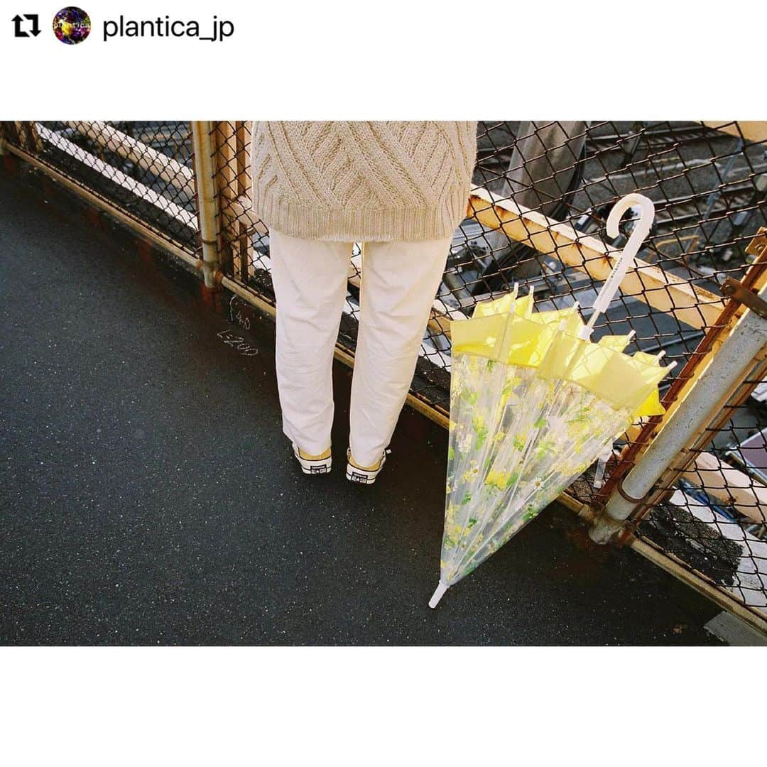 イアリサさんのインスタグラム写真 - (イアリサInstagram)「#Repost みんな見てケロ🐸 @plantica_jp with @make_repost ・・・ Wpc. x plantica のフラワーアンブレラ・シリーズ。季節毎にお願いしている様々なアーティストのシューティング企画。2020年秋冬は写真家 @aya_dream04 による撮り下ろしルック。﻿ ﻿ ４人目のモデルは @_i.arisa_ さん。アパレルのPRで、若槻千夏さんのブランド「WCJ」の担当を兼務しながら、先日Ayaさんとの共同ブランド @asebi___ を始めています。﻿ ﻿ ミモザ特有の柔らかい黄色のプリント柄、ミモザは春の時期に咲く花ですが、秋の夕暮れの西日に照らされるシチュエーションも趣きがありますね。暖色系の秋冬コーデに花を添える感じで。雨でも、晴れでも、曇りでも、一年中、持ち歩きたくなるような、愛くるしいアイテム。﻿ ﻿ -﻿ 手に、花を。街に、華を。﻿ ﻿ 📷: @aya_dream04﻿ 👩🏻‍🦰: @_i.arisa_﻿ ☂️: @wpc_official﻿ 🏵: @plantica_jp﻿ ﻿ ☂️: FLOWER UMBRELLA﻿ Price: ¥2,300(w/o Tax)﻿ Size: 65cm﻿ Color: PURPLE﻿ Flower: ミモザ﻿ Flower language: 豊かな感受性 / 思いやり﻿ ﻿ 🔍: wpc plantica ﻿ 🎁: ZOZOTOWN / 楽天 / Amazon / その他﻿ 🏫: LOFT(ロフト) / MARUI(丸井) / その他﻿ ﻿ -﻿ 📍📝Dream Aya 📸 @aya_dream04﻿ ﻿ 2002年 dream (現Dream) に新加入し、デビュー。2011年よりガールズ エンタテイメント・プロジェクト“E-girls”の中心メンバーとしても活動を開始し、後にE-girlsの初代リーダーを務める。﻿ ﻿ 2017年7月16日ボーカル&パフォーマーを引退。引退後は株式会社 LDH JAPANで写真や絵などのアートな才能を活かしクリエイティヴ業に専念。﻿ ﻿ 2020年1月よりフリーランスで写真家として活動開始。﻿ ﻿ 現在、自由が丘にある老舗写真専門店「ポパイカメラ」にも兼務しつつ、ファッションブランドのルック撮影や一般参加型のライブシューティングなど、写真を軸に精力的に活動。デジタルカメラやスマートフォンの登場によって失われつつある、フィルムやフィルムカメラの素晴らしさや楽しさを伝えようと活動していることも、彼女の特徴である。﻿ ﻿ 直近では友人と共同のブランド @asebi___ を立ち上げ、思い想いに好きなコト/モノを発信していくなど、活動の幅を広げつつある。﻿ ﻿ -﻿ #photobyaya﻿ #wpc傘 #wpc_worldparty #wpcdrops﻿ #plantica #プランティカ ﻿ #umbrella #傘」12月5日 11時24分 - _i.arisa_