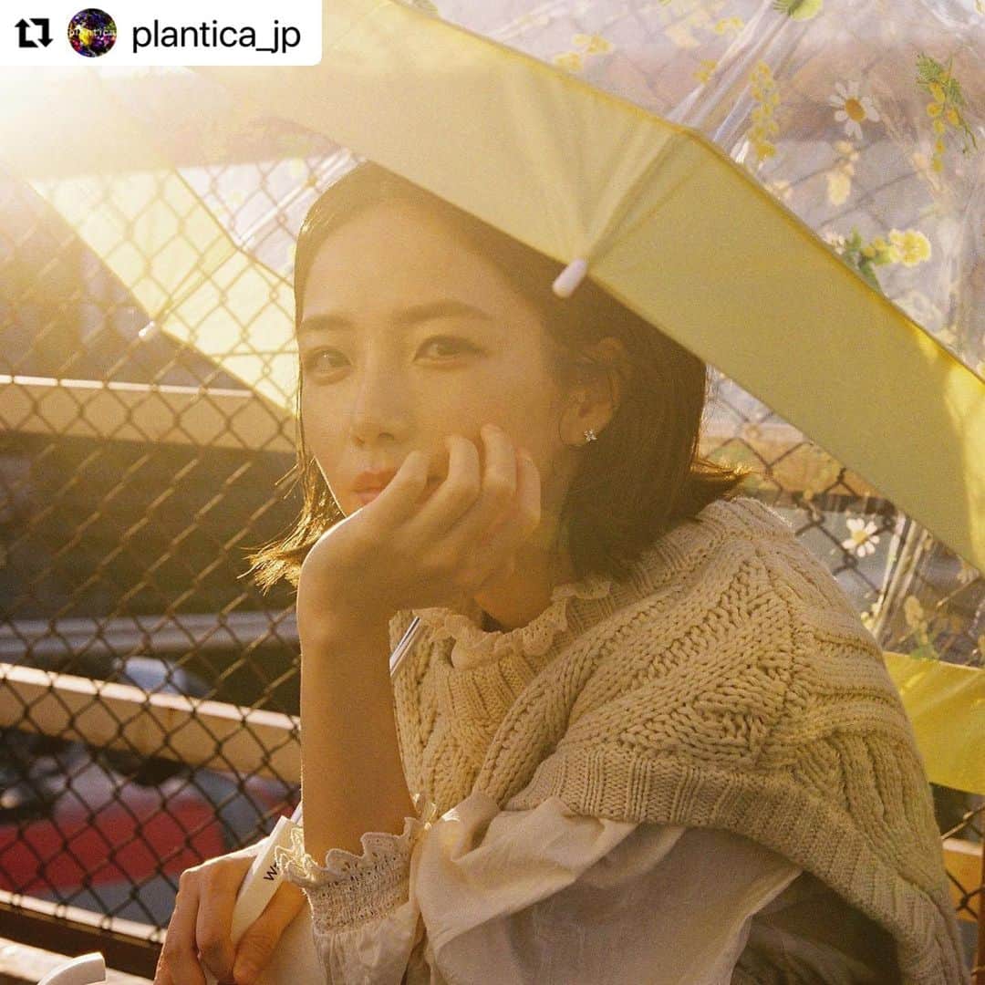 イアリサのインスタグラム：「#Repost みんな見てケロ🐸 @plantica_jp with @make_repost ・・・ Wpc. x plantica のフラワーアンブレラ・シリーズ。季節毎にお願いしている様々なアーティストのシューティング企画。2020年秋冬は写真家 @aya_dream04 による撮り下ろしルック。﻿ ﻿ ４人目のモデルは @_i.arisa_ さん。アパレルのPRで、若槻千夏さんのブランド「WCJ」の担当を兼務しながら、先日Ayaさんとの共同ブランド @asebi___ を始めています。﻿ ﻿ ミモザ特有の柔らかい黄色のプリント柄、ミモザは春の時期に咲く花ですが、秋の夕暮れの西日に照らされるシチュエーションも趣きがありますね。暖色系の秋冬コーデに花を添える感じで。雨でも、晴れでも、曇りでも、一年中、持ち歩きたくなるような、愛くるしいアイテム。﻿ ﻿ -﻿ 手に、花を。街に、華を。﻿ ﻿ 📷: @aya_dream04﻿ 👩🏻‍🦰: @_i.arisa_﻿ ☂️: @wpc_official﻿ 🏵: @plantica_jp﻿ ﻿ ☂️: FLOWER UMBRELLA﻿ Price: ¥2,300(w/o Tax)﻿ Size: 65cm﻿ Color: PURPLE﻿ Flower: ミモザ﻿ Flower language: 豊かな感受性 / 思いやり﻿ ﻿ 🔍: wpc plantica ﻿ 🎁: ZOZOTOWN / 楽天 / Amazon / その他﻿ 🏫: LOFT(ロフト) / MARUI(丸井) / その他﻿ ﻿ -﻿ 📍📝Dream Aya 📸 @aya_dream04﻿ ﻿ 2002年 dream (現Dream) に新加入し、デビュー。2011年よりガールズ エンタテイメント・プロジェクト“E-girls”の中心メンバーとしても活動を開始し、後にE-girlsの初代リーダーを務める。﻿ ﻿ 2017年7月16日ボーカル&パフォーマーを引退。引退後は株式会社 LDH JAPANで写真や絵などのアートな才能を活かしクリエイティヴ業に専念。﻿ ﻿ 2020年1月よりフリーランスで写真家として活動開始。﻿ ﻿ 現在、自由が丘にある老舗写真専門店「ポパイカメラ」にも兼務しつつ、ファッションブランドのルック撮影や一般参加型のライブシューティングなど、写真を軸に精力的に活動。デジタルカメラやスマートフォンの登場によって失われつつある、フィルムやフィルムカメラの素晴らしさや楽しさを伝えようと活動していることも、彼女の特徴である。﻿ ﻿ 直近では友人と共同のブランド @asebi___ を立ち上げ、思い想いに好きなコト/モノを発信していくなど、活動の幅を広げつつある。﻿ ﻿ -﻿ #photobyaya﻿ #wpc傘 #wpc_worldparty #wpcdrops﻿ #plantica #プランティカ ﻿ #umbrella #傘」