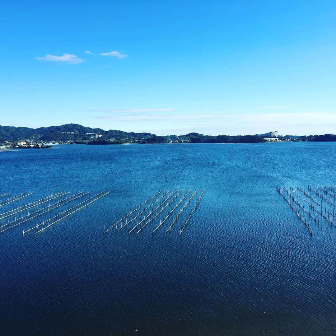 犬小屋??さんのインスタグラム写真 - (犬小屋??Instagram)「今週末は、浜名湖。 みんな楽しそうに走っています。😍 この週末を楽しんだら、仕事納めまで仕事だわ😓  #chihuahua  #犬小屋 #chihuahuastagram  #チワワのいる暮らし  #チワワ大好き  #チワワ多頭飼い  #ドッグラン  #ちわすたぐらむ  #ふしぎすたぐらむ #こびすたぐらむ  #みごとすたぐらむ  #my_eos_photo  #canon  #canon_photos  #ファインダー越しの私の世界  #写真撮ってる人と繋がりたい  #チワワ好きな人と繋がりたい」12月5日 11時35分 - tiwa1109