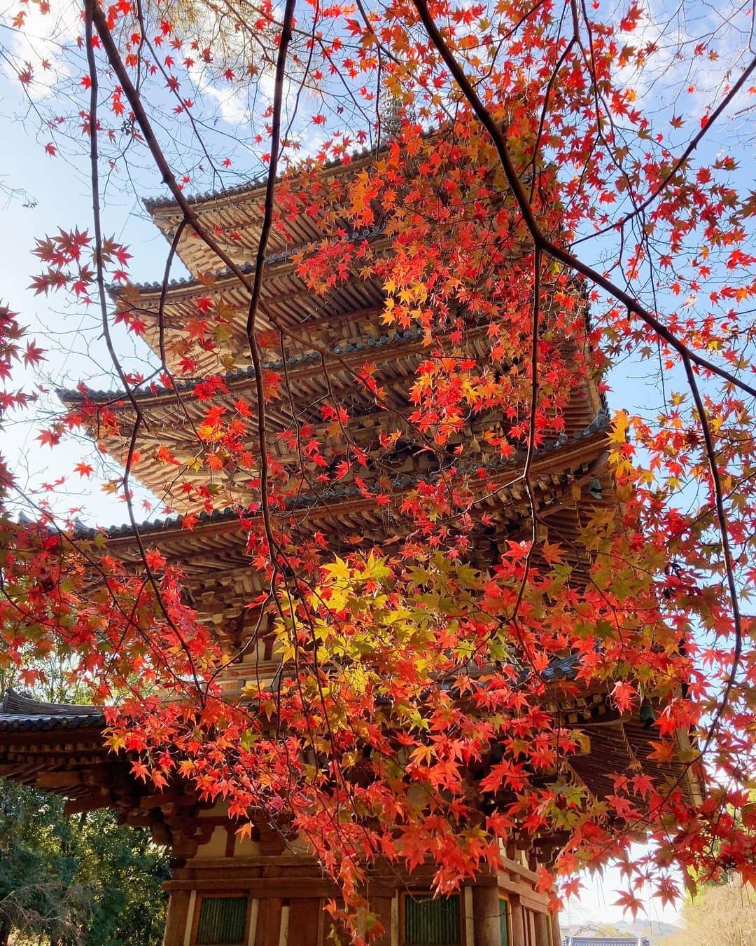 TBS「世界ふしぎ発見！」のグルメインスタ