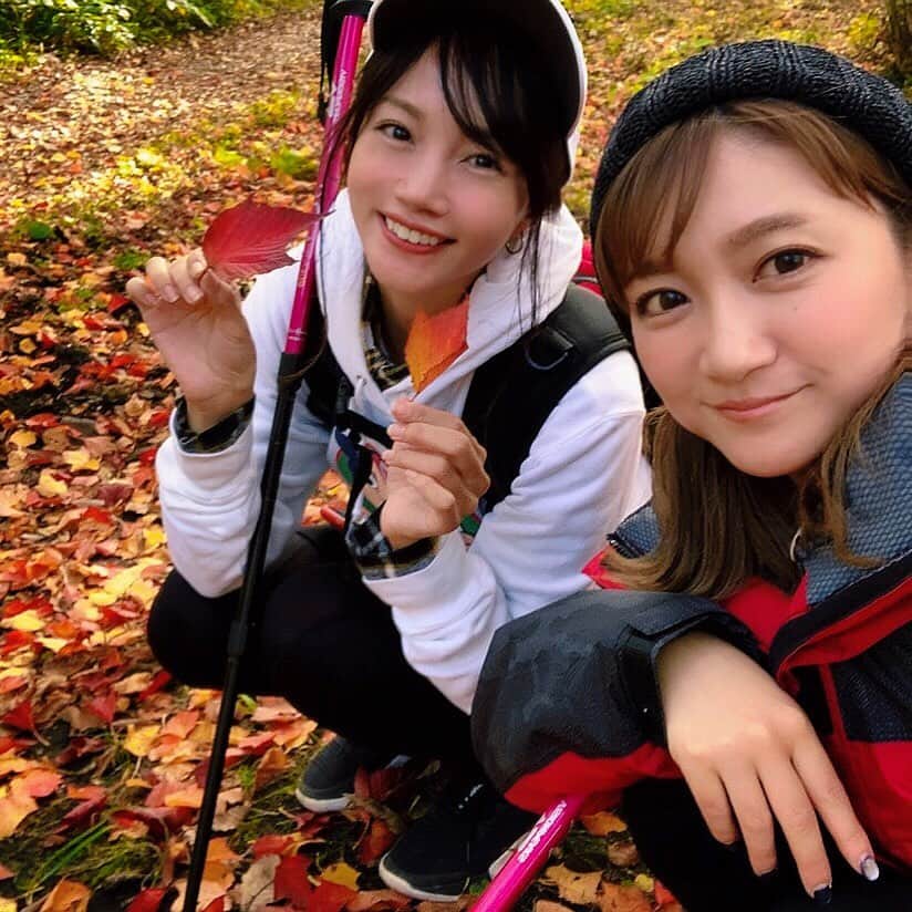 のインスタグラム：「紅葉の絨毯〜🍁﻿ ﻿ 道後山について結構質問もらったのですが、月見ヶ丘駐車場というところまで車で行ってそこから登りはじめて岩樋山山頂まで1時間しないくらい、岩樋山から道後山山頂までが30分ちょっとだったかな？🤔﻿ ﻿ 下山はスーパーガイドさんに近道を案内してもらって30分で月見ヶ丘駐車場に戻ってこられました🐾﻿ ﻿ 広島市内からは中国自動車道で庄原ICより国道183号線で北に37km、月見ヶ丘駐車場まで40分だそうです🚗﻿ ﻿ トイレがないので駐車場で必ず済ませた方がいいのと、もちろんゴミ箱もないので山頂でピクニックする時はゴミをまとめやすくできるように用意するのが良いよ❕🗑☆﻿ .. 3枚目はみんな大好き @tension_takano の小芝居動画💗笑笑 ﻿ ﻿ #道後山#岩樋山#西城町#日南町﻿ #中国山地﻿#広島旅行#鳥取旅行#広島登山#鳥取登山﻿ #広島観光#鳥取観光#登山#トレッキング﻿ #紅葉#紅葉狩り#トレッキング女子#猫山﻿ #女子旅#girlstrip#japan_of_insta#japantrip ﻿ #japantravel#hiroshima#広島#山ガール #広島県#鳥取県#庄原市#tottori﻿」