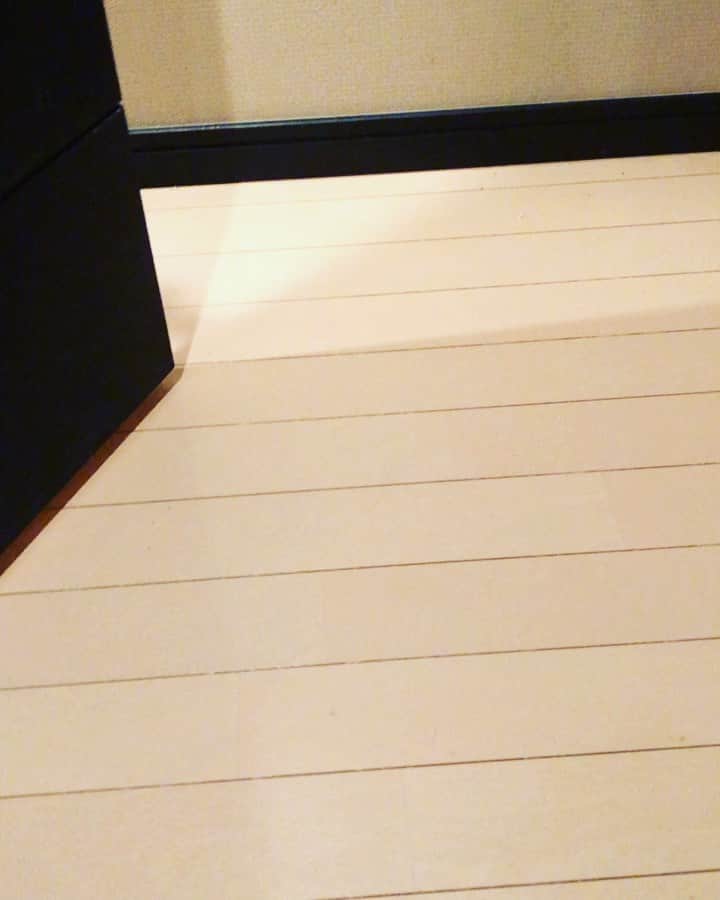 有奈めぐみさんのインスタグラム動画 - (有奈めぐみInstagram)「若い方の彼氏。 呼べば、一瞬で一瞬だけ来てくれる。 #av #風俗嬢 #熟女 #猫 #猫のいる暮らし #猫好き #アメショー #アメショ #♂ #彼氏 #若い方 #呼べば #一瞬でも #来てくれる」12月20日 0時41分 - arina_megu