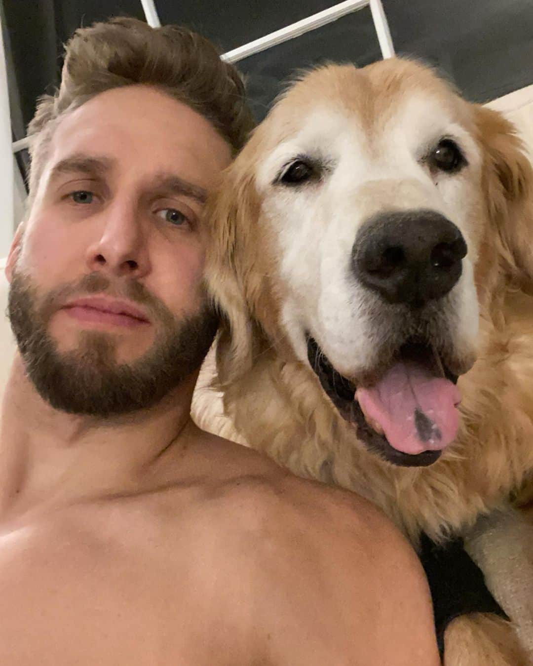 ショーン・ブースさんのインスタグラム写真 - (ショーン・ブースInstagram)「My man Tuck would have turned 12 today. I get asked almost daily (through emails or dm’s) how to get over the loss of a dog, how to move on, or how long after you should wait to get another one .. . I don’t know the answer to any of these. For me, I’ll never get over Tuck. He was my “soul dog”. I’ll miss him just as much 20 years from now as I do today. I’m sure this sounds crazy to everyone out there who hasn’t experienced a special bond with an animal, but I know all big dog guys out there get it .. . This doesn’t mean I love @walterboothdog any less. It’s a different kind of love. Which is completely fine. They are very very different boys which is great. I was one of those people who said I would never get another dog and never get another golden after I lost Tucker, and here we are 😬 . I realized that life is way too short to miss out on and having another bond & love with one. Life is just better with a dog in it, plain and simple.  So if you’re on the fence about getting another one, I say go for it. I don’t think you’ll regret it .. HBD King Tuck 👑」12月20日 0時47分 - shawn_booth18