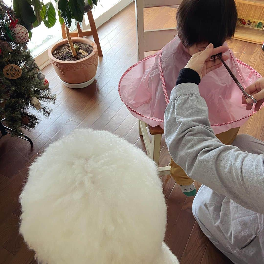 たまねぎさんのインスタグラム写真 - (たまねぎInstagram)「. . おばあちゃんカット（笑） 確かにわたしは、むーむのおばあちゃんなんだけど、なんか自分がおばあちゃんと呼ばれることに未だ慣れず（笑） なので、自ら言ってみた🤣  むーむの散髪。 じっとしてくれなくて、横と後ろがまだ途中😭 いつ続きができるかな💦 するころには、また伸びてしまっているような気がする🤣  #standardpoodle #dog #lovedogs #スタンダードプードル #大型犬と子供 #poodle #dogstagram #いぬのいる生活 #子どもと犬  #kidsanddog #ママリ #キズナ #コドモノ #いこーよ #いぬのきもち #犬と暮らす #いぬなしでは生きていけません #散髪 #おうちカット #婆カット #おばあちゃんと孫」12月20日 1時04分 - tamanegi.qoo.riku