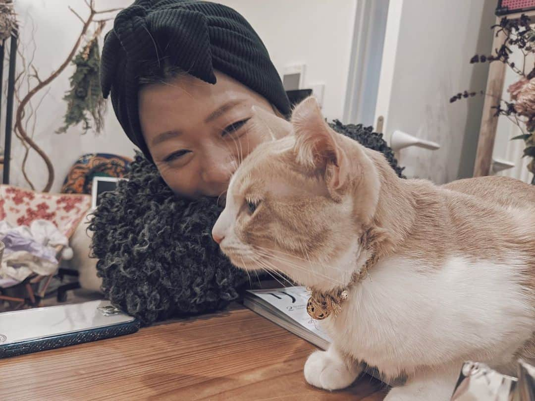 藤田敦子さんのインスタグラム写真 - (藤田敦子Instagram)「ㅤㅤ Good to see you again🐈🐈‍⬛ @nuco.waka Time〜〜〜💕 Thanks @yukiya.terai @miwaty ❤️」12月20日 1時10分 - blenda0305