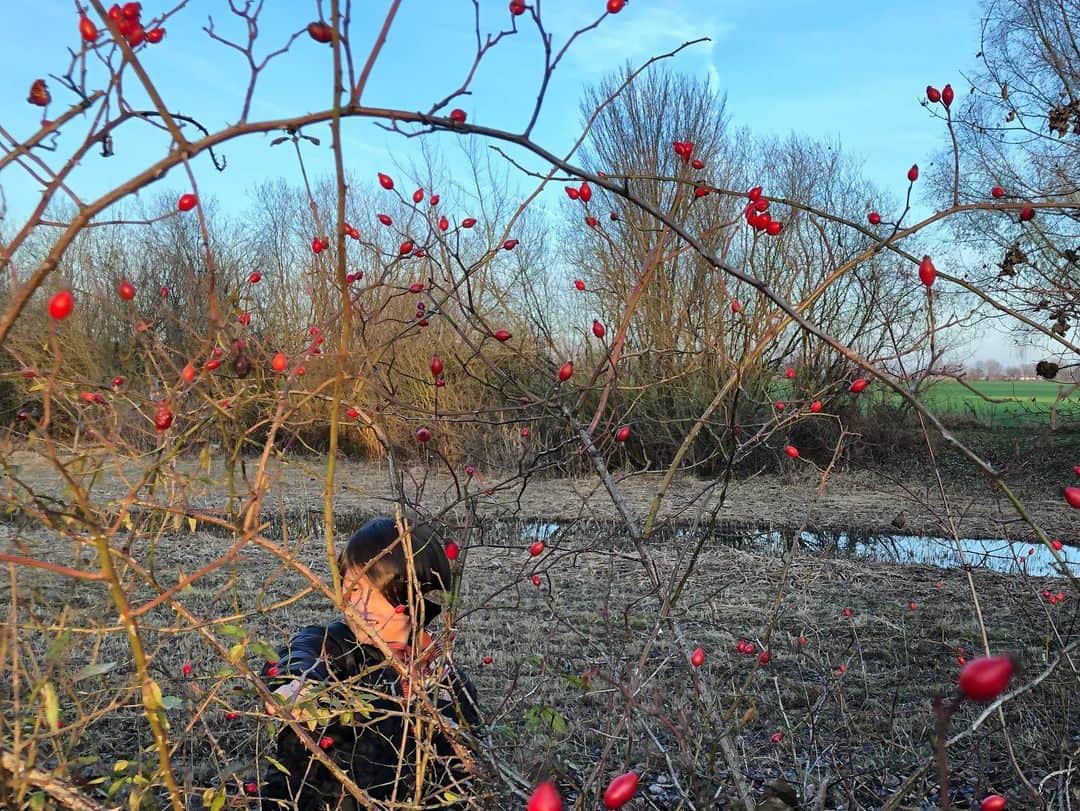 日登美さんのインスタグラム写真 - (日登美Instagram)「Captured, winter time 🍂❄️☀️  美しい冬の一日。 ベルリンは街だけど、20分も車で走れば森や自然がある。 歩くだけで宝物だらけな小道を行く。 子供と歩くドイツの夕暮れ😌❤️  #berlin #winter #germany #spazieren #withkids #familytime #momslife #お散歩 #ベルリン #子供と #歩く #歩くだけ #でも楽しい #何でも #宝物 #らしい #よかったね #今日も一日 #ありがとう」12月20日 2時09分 - hitomihigashi_b