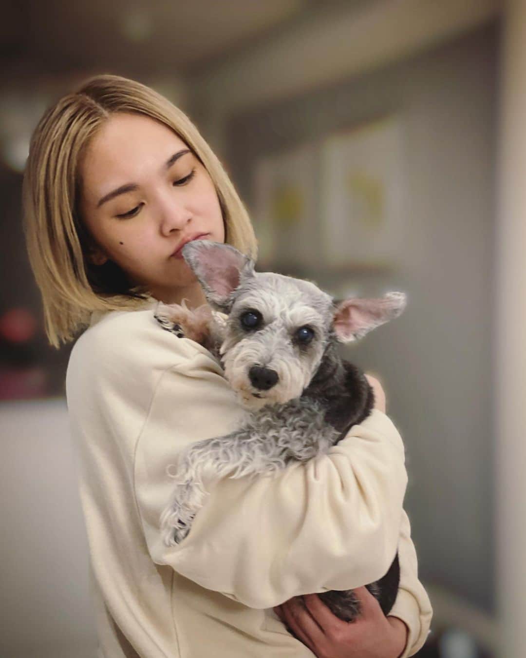 レイニー・ヤンさんのインスタグラム写真 - (レイニー・ヤンInstagram)「🧡 夜深了 有感而發 我的寶貝女兒 最近比較會乖乖給我抱 雖然很開心 但我知道 是因為她年紀大了比較怕冷 所以在我身上取暖很舒服 不然年輕時的Yumi 才不屑我的懷抱咧  #雪納瑞 #母女 #很害怕她漸漸變老 #很害怕失去的那天」12月20日 2時42分 - rainie77