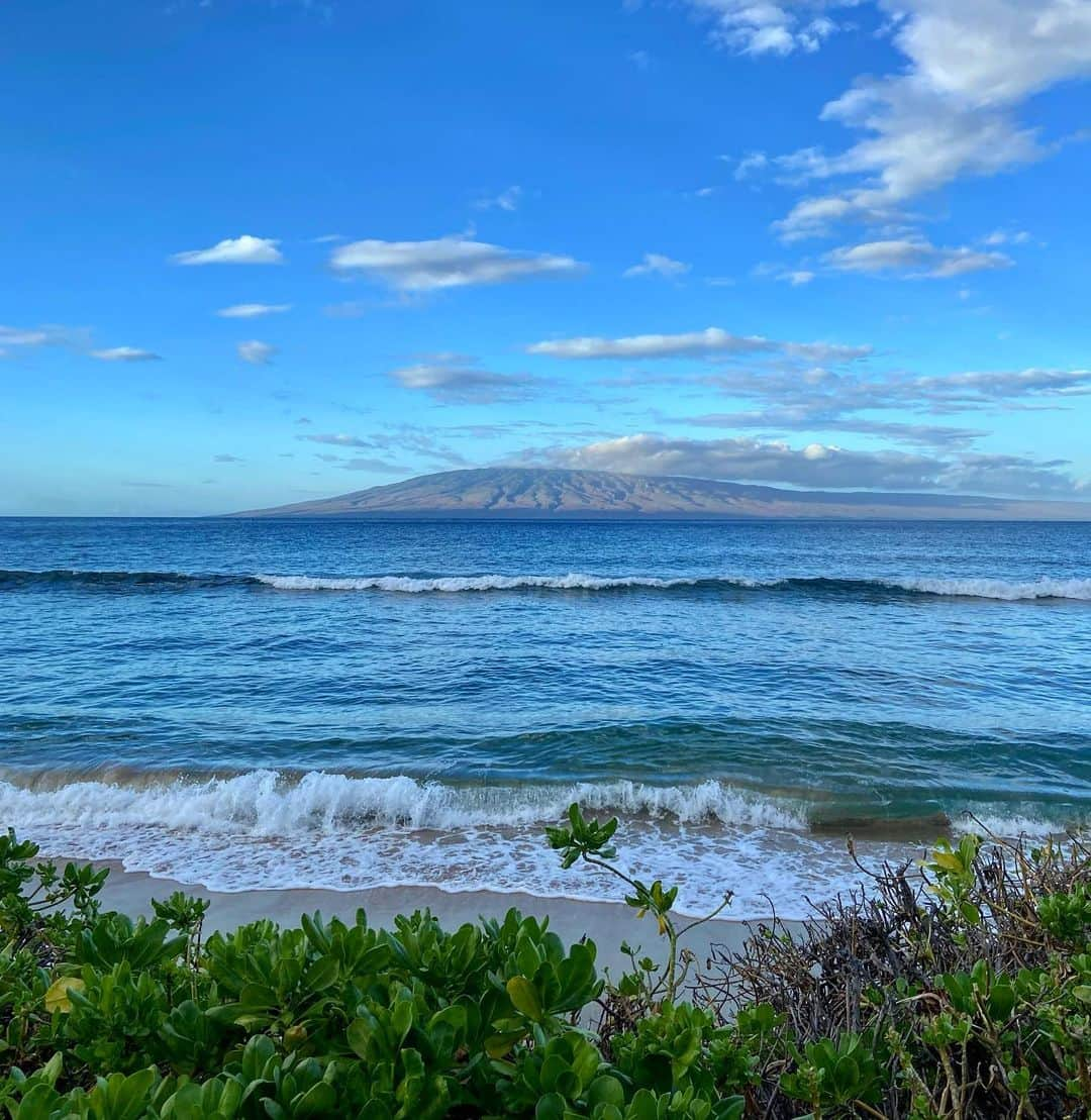 ダグラス・ラザノさんのインスタグラム写真 - (ダグラス・ラザノInstagram)「Good morning from paradise 🌴 #kaanapali #maui #hawaii」12月20日 2時54分 - douglasrazzano