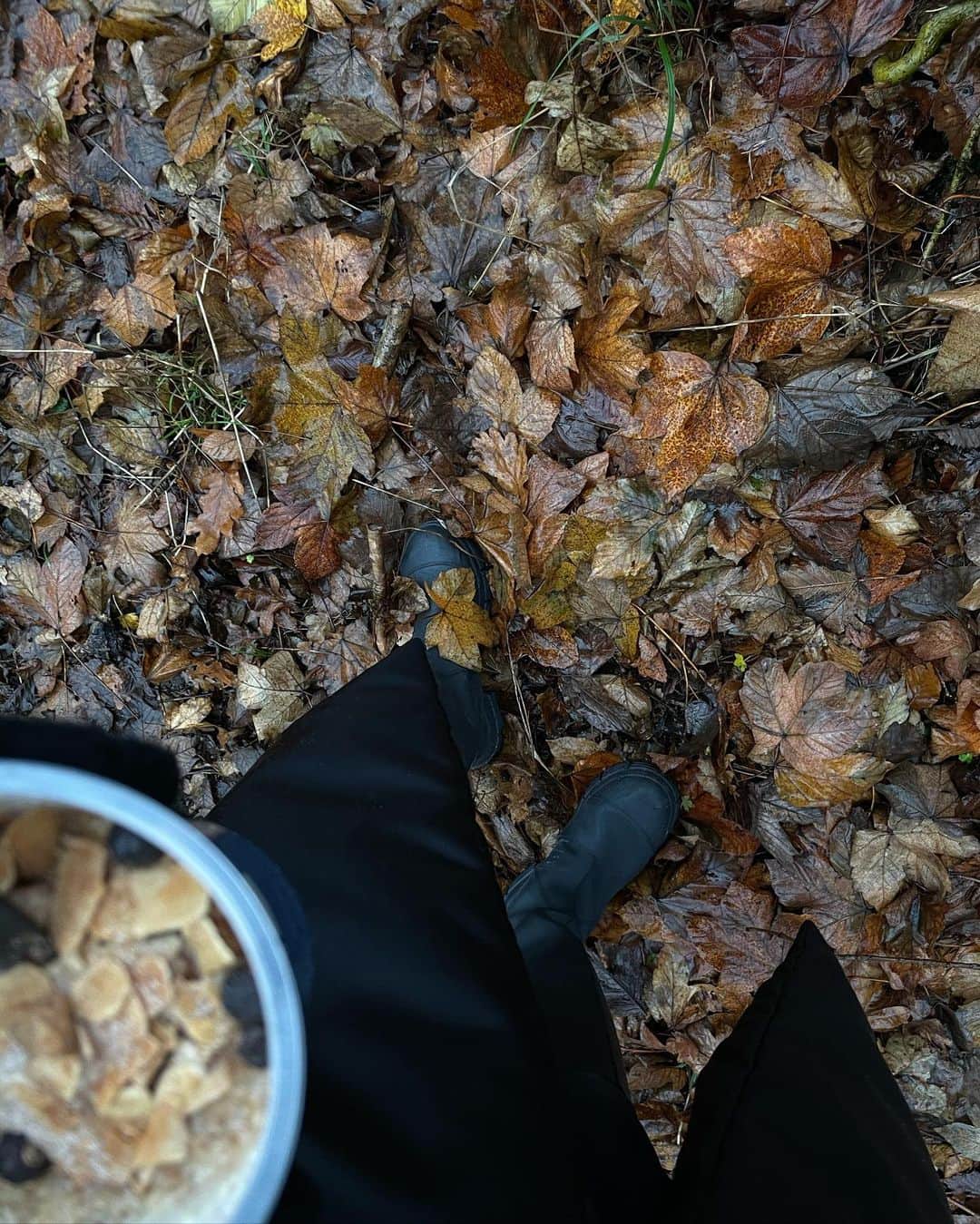 Mathilde Goehlerさんのインスタグラム写真 - (Mathilde GoehlerInstagram)「Rainy days can be just as beautiful 🤍 warm porridge in the forest, long walks and talks with @sophiegoehler and I couldn’t ask for more.. ps having a fun time with the sound of video number four 🥲😂」12月20日 4時12分 - mathildegoehler