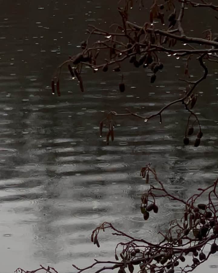 Mathilde Goehlerのインスタグラム：「Rainy days can be just as beautiful 🤍 warm porridge in the forest, long walks and talks with @sophiegoehler and I couldn’t ask for more.. ps having a fun time with the sound of video number four 🥲😂」