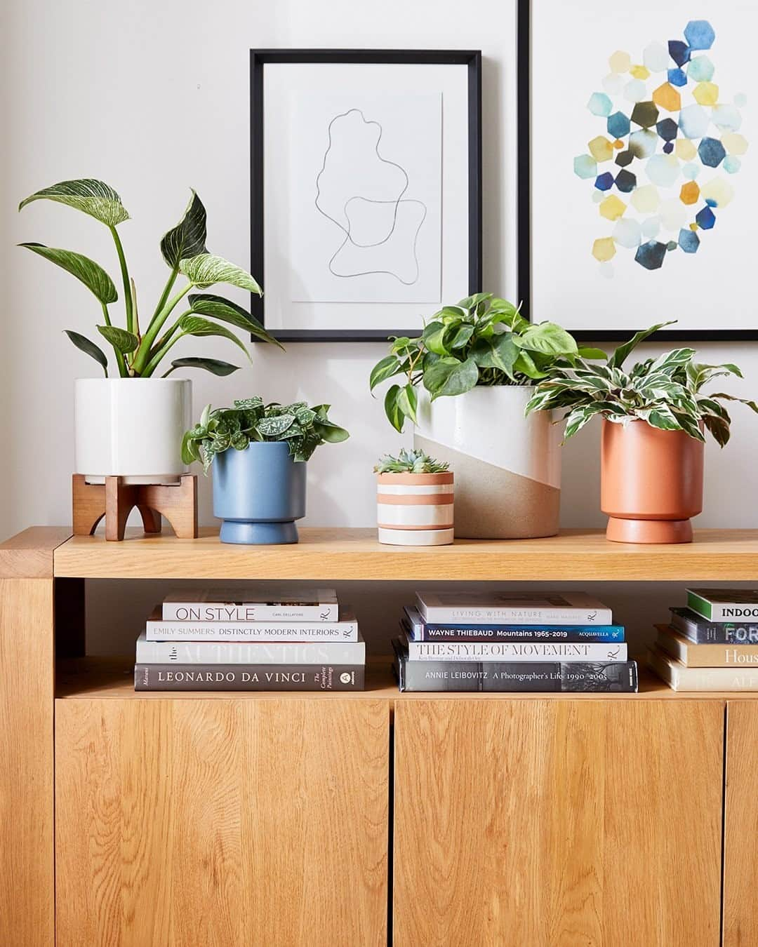 west elmさんのインスタグラム写真 - (west elmInstagram)「Planters: the last-minute gift that works for EVERYONE (even black thumbs – that's what faux plants are for!) 🌿 Need it now? Stop by your local #WestElm *or* buy online for fast and free pickup, curbside or in store. Link in bio!」12月20日 5時00分 - westelm