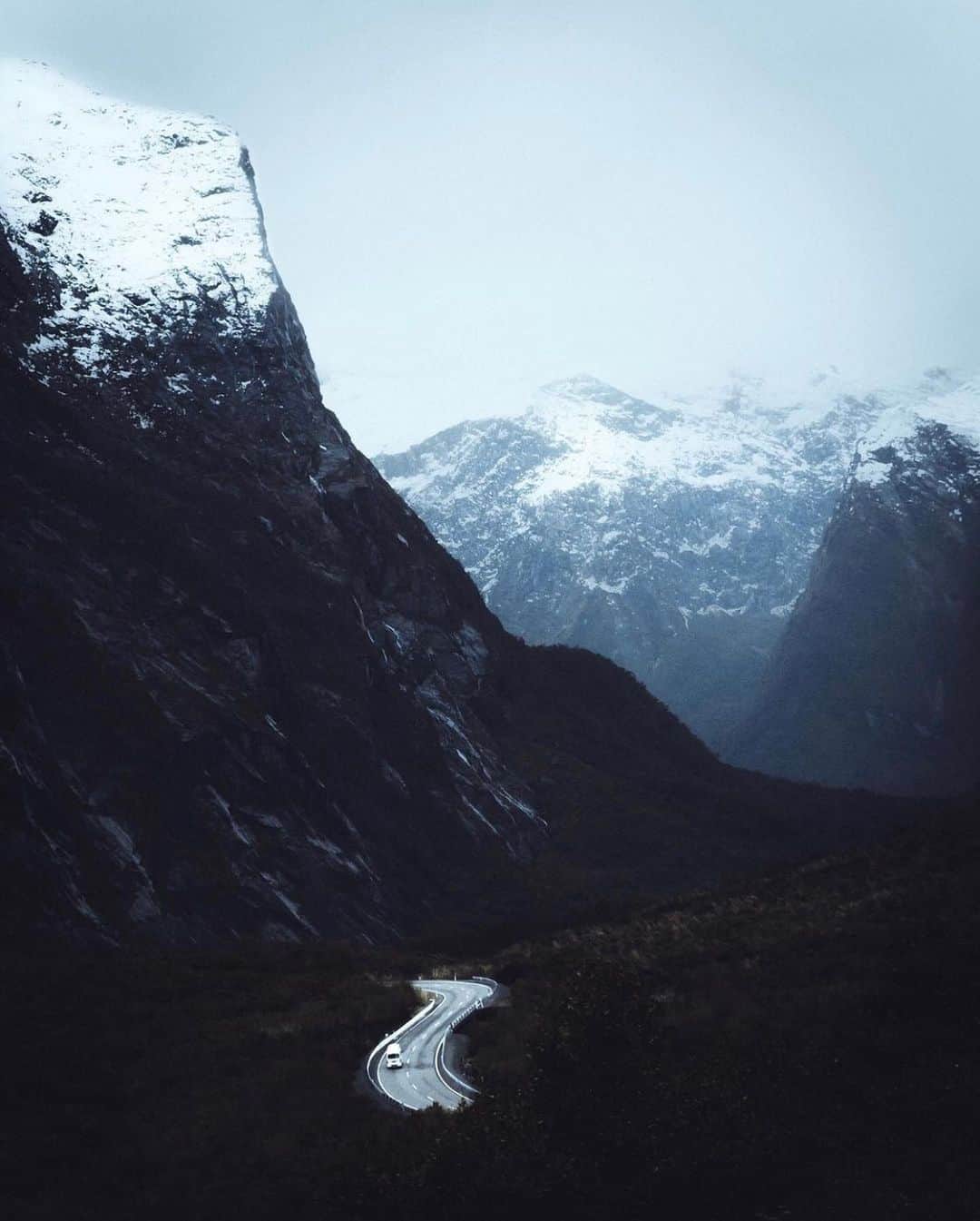 FOLKのインスタグラム：「Very calming favorites for a very restful Saturday. 1.) @beasquire 2.) @evakosmasflores 3.) @kaseymantiply 4.) @dominiclars 5.) @robinxbenjamin 6.) @withgar」