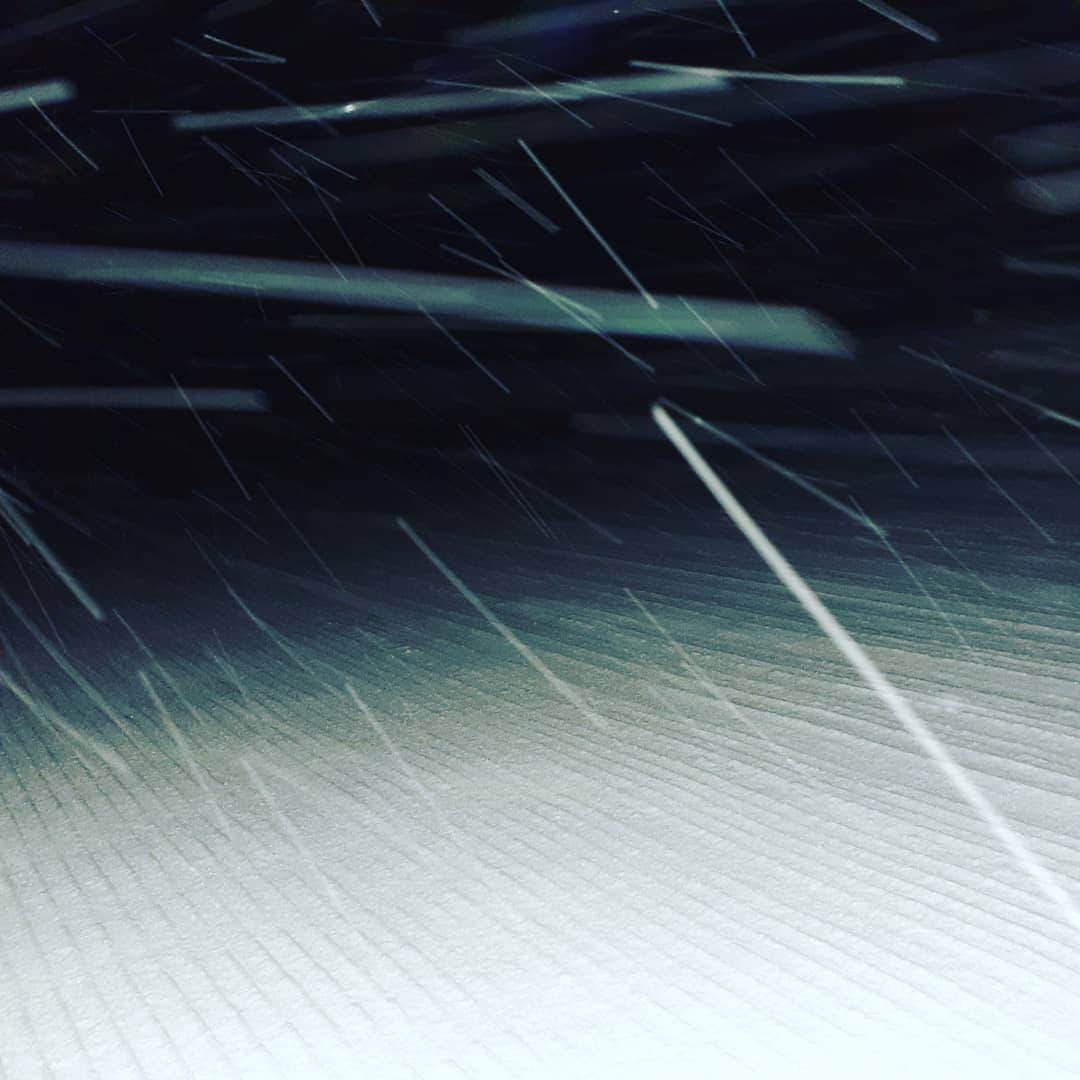栂池高原スキー場さんのインスタグラム写真 - (栂池高原スキー場Instagram)「おはようございます！ 栂池高原スキー場、朝情報です。 天候　雪  気温　-6℃ 積雪  180cm 風速　5m/h  昨日から、雪が降り続いています！！ 積雪も昨日から10センチ程あり、パウダーを楽しむことができそうです❗ ご来場お待ちしております  #栂池高原 #パウダー #フリースキー #スノボー #tsugaike #hakubavalley」12月20日 6時56分 - tsugaike_kogen