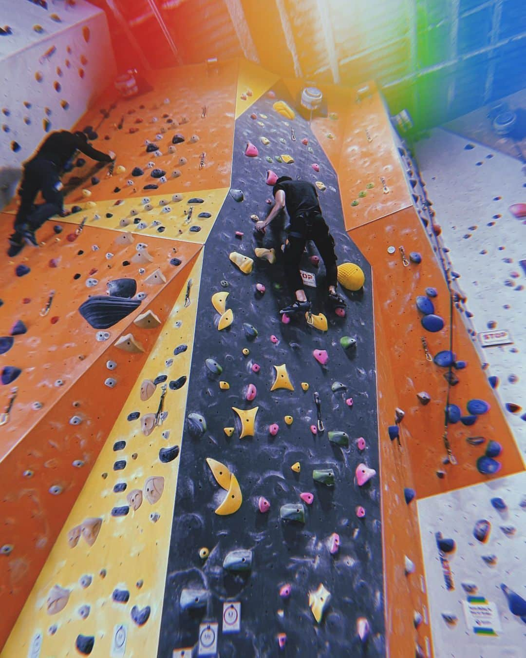 柳喬之さんのインスタグラム写真 - (柳喬之Instagram)「My first rock climbing in my entire life!!!! It was as hard as I thought but much more fun than I thought 🤭🤍 I was being a chicken all the time tho😂 And @kianken_ is really good at that 😳🔥 人生初のロッククライミングに挑戦🧗‍♀️てかロッククライミングの絵文字あるの今知った🧗‍♀️ 🧗‍♀️ 🧗‍♀️難しかったけど思ったより楽しかったけど普通に怖かった笑　  #ny #rockclimbing #nymodel #marilynny #rockclimbing」12月20日 7時14分 - dvdtyng