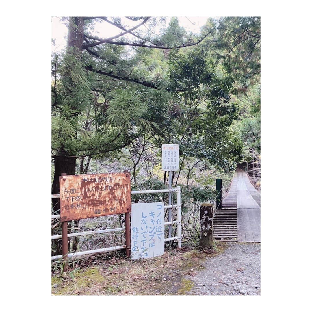 Yuka Kaedeさんのインスタグラム写真 - (Yuka KaedeInstagram)「Wakayama, Japan . . 初めて見る花。 小振りのヒマワリかクレマチスのような ピンク色のお花を見つけました♪ . . 先日和歌山へ行った時に吊り橋を調べてみると、 【日本の怖い橋7選‼︎】にあった『佐久間橋』 (野々垣内の吊り橋)が近くにあり寄ってみました。  引きで見ると見過ごす程の薄っぺらい橋。 (実際通り過ぎました) 近くへ行くと[通行定員1名]の看板が… そしてこれは渡ってはいけないレベルの老朽化、 手すりも無し。膝丈ほどの位置にワイヤーがあるのみ。 なので落ちても怪我しない距離まで数歩あるいて終わり。  吊り橋からゆったり紅葉鑑賞などは出来ない橋でした。(^^;) . . #和歌山#龍神村#佐久間橋#日本の旅 #和歌山の花#お花好き#名前の知らない花」12月6日 0時41分 - _asyuka_