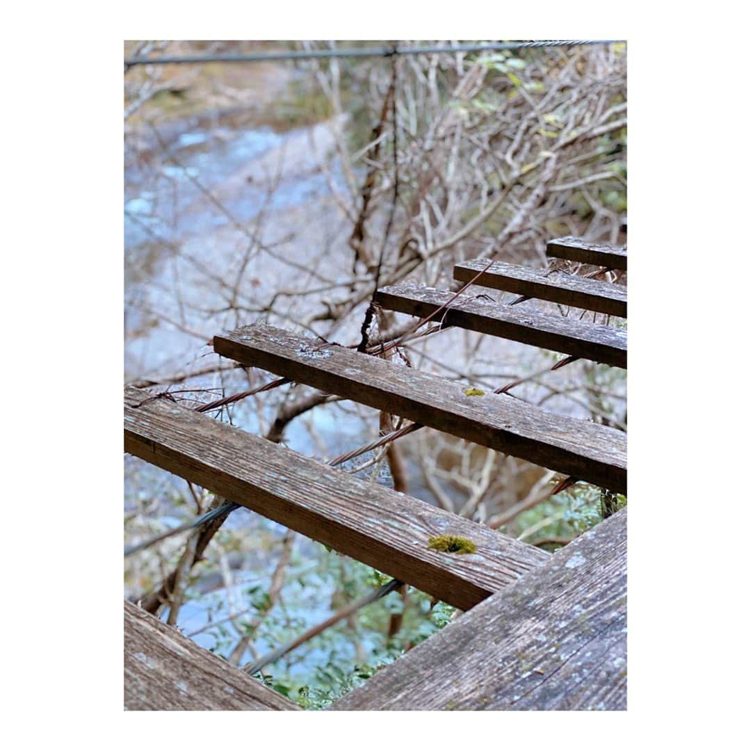 Yuka Kaedeさんのインスタグラム写真 - (Yuka KaedeInstagram)「Wakayama, Japan . . 初めて見る花。 小振りのヒマワリかクレマチスのような ピンク色のお花を見つけました♪ . . 先日和歌山へ行った時に吊り橋を調べてみると、 【日本の怖い橋7選‼︎】にあった『佐久間橋』 (野々垣内の吊り橋)が近くにあり寄ってみました。  引きで見ると見過ごす程の薄っぺらい橋。 (実際通り過ぎました) 近くへ行くと[通行定員1名]の看板が… そしてこれは渡ってはいけないレベルの老朽化、 手すりも無し。膝丈ほどの位置にワイヤーがあるのみ。 なので落ちても怪我しない距離まで数歩あるいて終わり。  吊り橋からゆったり紅葉鑑賞などは出来ない橋でした。(^^;) . . #和歌山#龍神村#佐久間橋#日本の旅 #和歌山の花#お花好き#名前の知らない花」12月6日 0時41分 - _asyuka_