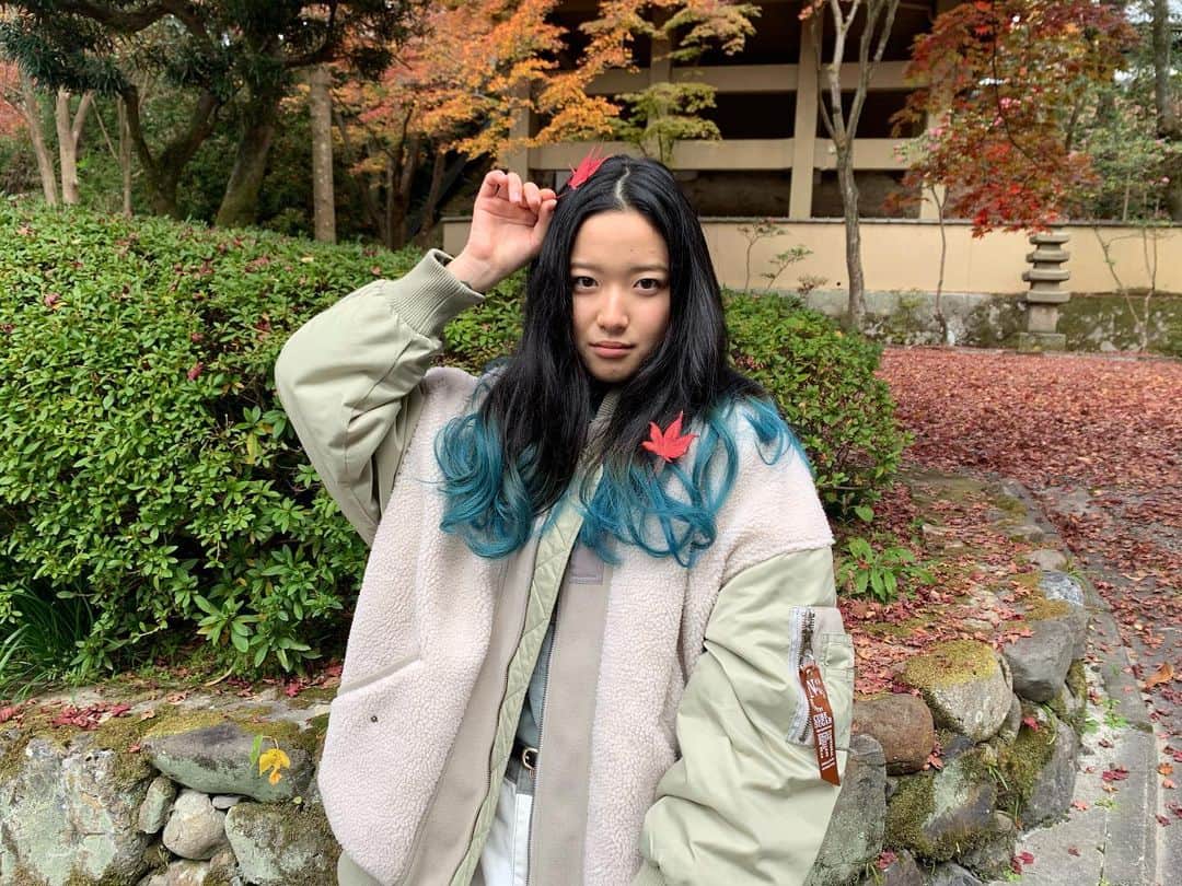 藤野涼子のインスタグラム：「12月になって秋の気配が失せ、冬がやって来ました。「ミヤコが京都にやって来た！🍁」の撮影中は、まだ紅葉がこんなにありました。 　私の青い髪の毛と真っ赤なモミジのツーショット #紅葉 #ミヤコが京都にやって来た #京都 #もみじ #momiji #kyoto」