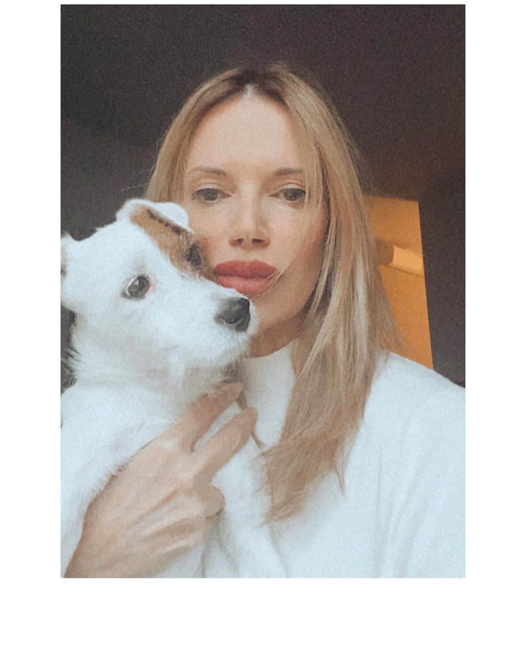 のインスタグラム：「Buon weekend amiche mie! “Non parla la mia lingua ma comprende il mio cuore 🐾” #coraggio」