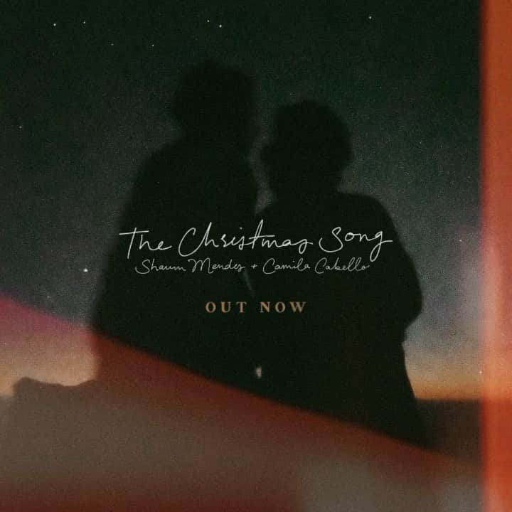 のインスタグラム：「This has been such a crazy year with so many challenges. This holiday season, it is more important than ever to spread love and kindness to everyone! Shawn and I wanted to send all our love to you amazing humans so we put together something special for you, our rendition of #TheChristmasSong ❤️All streams will support those in need right now, and to kick this off, we are donating $100K to Feeding America! We love you all so much and hope you get to enjoy this song over a very safe and merry holiday!  It would make our holidays if you went on their website and donated to one of their sectors and help out your community! They have sectors all over the nation. Let’s make our little corner of the world more beautiful today ❤️ Tarzan says hi.」