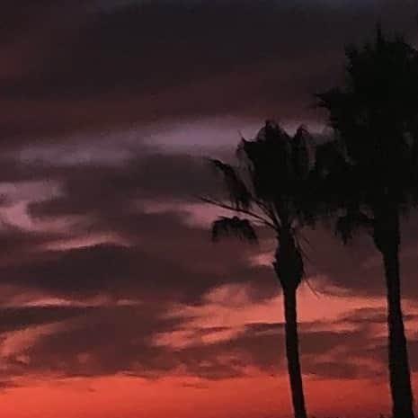 メアリー・マクドネルのインスタグラム：「Good Morning LA. This sky reflects the troubled beauty of our beloved city right now. Listen .. just stay home for the next few weeks . YOU WILL SAVE LIVES AND THE MENTAL AND PHYSICAL HEALTH OF OUR FRONTLINE WORKERS . Show some love today ❤️#wearamask」