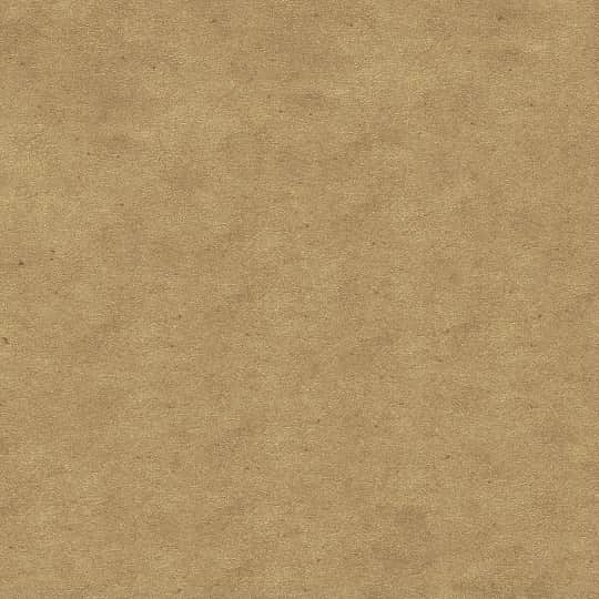 モリシーのインスタグラム：「明日12/6から『MORISHIMA COFFEE STAND』オープンです！ 12/6,12/7と2日間まずは営業します。 その後の営業はモリシーのinstagramストーリーに前日にお知らせするので、是非チェックをお願いします！ 間借りなので、住所はこちらのBARになります！  STAND 〒168-0063 東京都杉並区和泉３丁目１２−８ https://goo.gl/maps/QVCTQcKt6DDEMZaR8  #morishimacoffeestand」