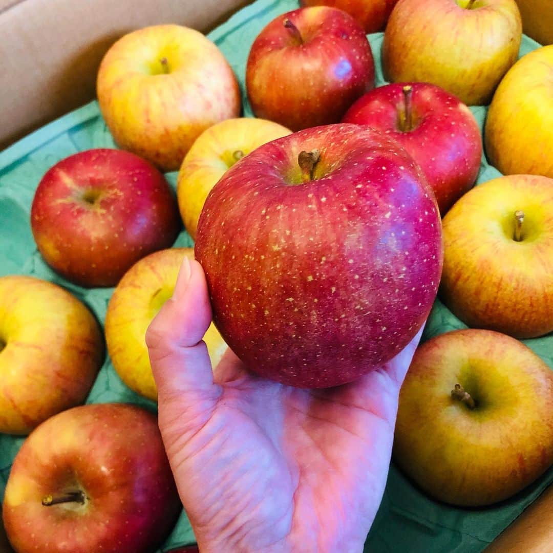 楪望さんのインスタグラム写真 - (楪望Instagram)「わーい(*´꒳`*)✨ 青森からりんごが届きまして🍎🍏 * お部屋の中が、りんごの甘酸っぱい香りに包まれております😻 幸せだーーーー💓💓 * どうやって食べようか、ただ今レシピ妄想中🤤😋🤤😋❤️❤️ * #りんご #青森 #grandapple #りんごレシピ #おすすめあれば教えてください #apple #🍎 #🍏」12月5日 16時11分 - nozomi_yuzuriha_official