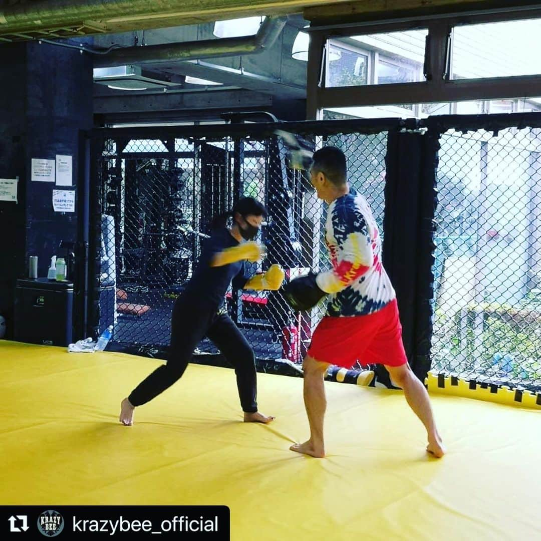 西浦聡生さんのインスタグラム写真 - (西浦聡生Instagram)「土曜は朝から🧘‍♂️🥊  #Repost @krazybee_official with @make_repost ・・・ 〈クラス紹介①〉 今日からスタート! ウィッキーコーチのフィットネスストレッチ❗️ 週末の朝イチ、みんなでストレッチ♪ 女性にもオススメのクラスです✨ この後のキックボクシングエクササイズのウォーミングアップにも最適ですので、2コマ続きで是非参加してみてくださいね！  毎週土曜日10:00- フィットネスストレッチ  〈クラス紹介②〉 今月は新しいクラスが目白押し！ ウィッキーコーチのキックボクシングエクササイズ🥊  ストレッチで身体をほぐした後はキックで鍛えましょう！ マイグローブをご持参ください🔥  毎週土曜日11:00- キックボクシングエクササイズ ※ysa HPのスケジュール記載に誤りがあります。 正しくは11:00-です。 よろしくお願いいたします。  #krazybee  #ysa #wickyclass」12月5日 16時17分 - wicky_nishiura