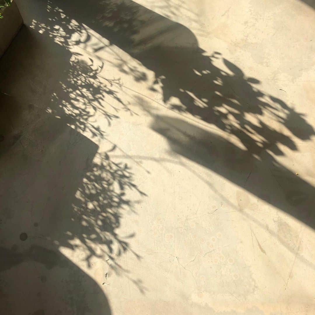 플로리스트 김애진(케이라플레르)さんのインスタグラム写真 - (플로리스트 김애진(케이라플레르)Instagram)12月5日 16時37分 - keirafleur