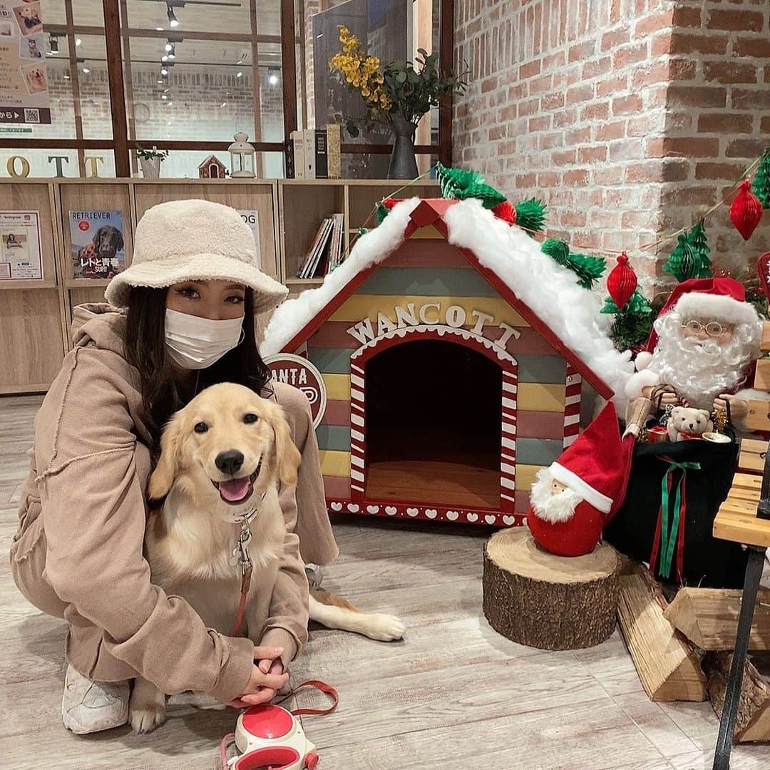 KIKIのインスタグラム：「もうすぐクリスマスだねん🤶🏻  本日は2部〜4部Xmasなのに 水着でお待ちしてますww  * * * * *   #バーレスク #クリスマス #ゴールデンレトリバー#ハピー #ドックラン#横浜#ワンコット #burlesque#party #日本#japan#roppongi#六本木 #音楽#music#dj#club#クラブ #女の子#ギャル#ぎゃる #dance#gogo#sexy#girl #ビキニ #水着#衣装 #longhair#美脚」