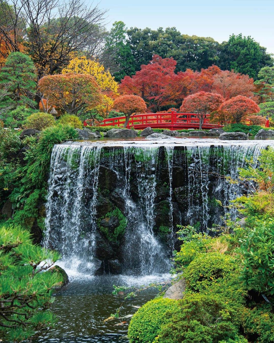 ホテル ニューオータニさんのインスタグラム写真 - (ホテル ニューオータニInstagram)「With its vivid reds, yellows and oranges, autumn draws out Japan’s natural splendor, adding vibrancy and creating stunning surroundings across the country for popular destinations and events. #FutureTravelGuide #forbestravelguide @forbestravelguide   ホテルニューオータニが誇る一万坪の日本庭園では、紅葉の見頃が近づいてまいりました。 当アカウント @hotelnewotanitokyo では、今後も紅葉のリアルタイムな情報を発信してまいります🍁✨（写真は昨年撮影)」12月5日 16時46分 - hotelnewotanitokyo