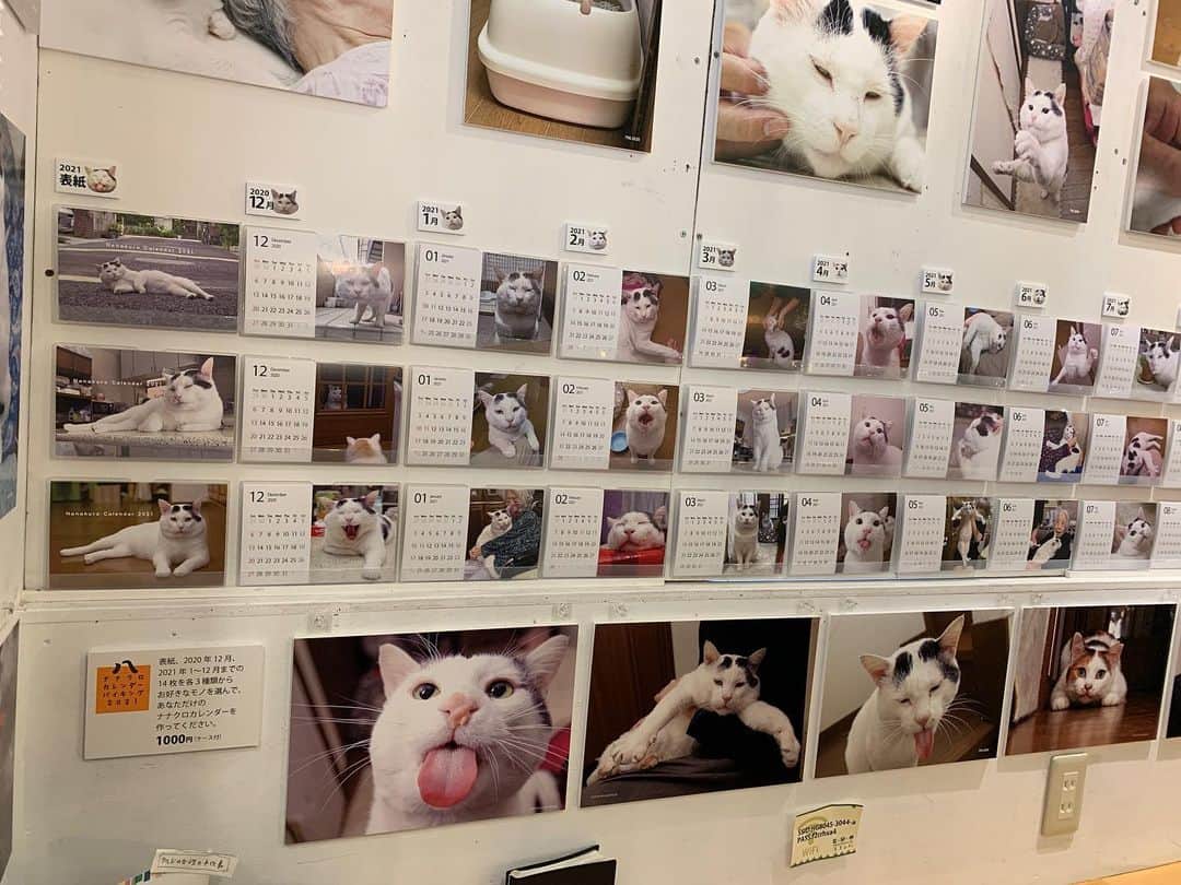 Kachimo Yoshimatsuのグルメインスタ