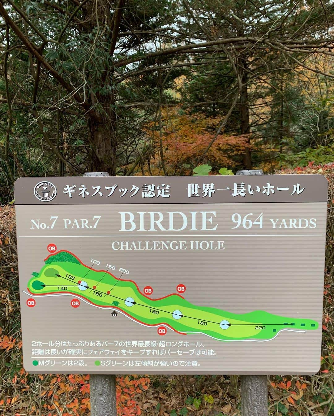 田中悦子のグルメインスタ