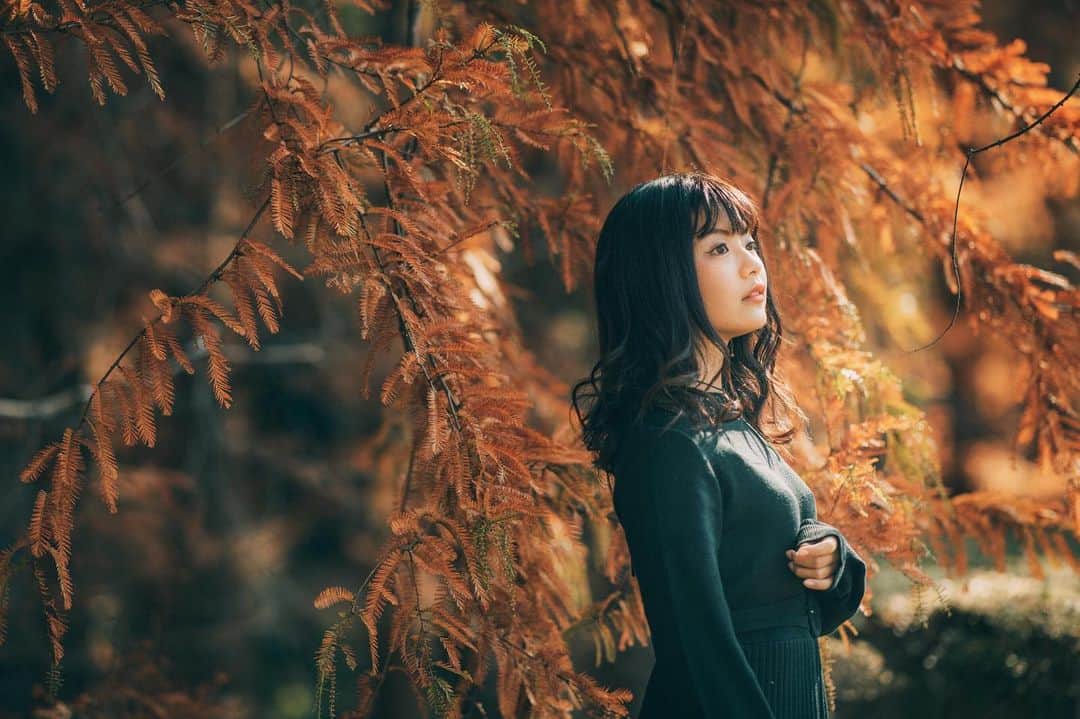 ぺんぺんのインスタグラム
