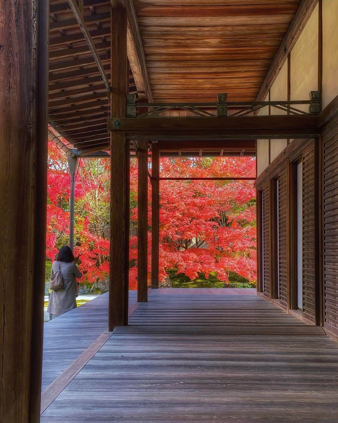 hama_aki_pppさんのインスタグラム写真 - (hama_aki_pppInstagram)「京都市左京区#南禅寺 (スライドして下さい)  Location Kyoto Japan (Swipe)    2020.11.12     #寺院仏閣　 #美しい日本　 #土曜日の小旅行  #そうだ京都行こう　 #関西カメラ部  #日本庭園  #tv_flowers  #total_asia  #amazing_shotz  #top_favorite_shots  #allthingsofbeauty_  #traveljapan  #inspring_shot  #beautiful_kansai  #ippawards #nature_brilliance_flowers  #earthofficial  #japanesetemple  #japanesegarden  #deaf_bestshot_japan  #lovers_united_japan  #ap_japan_  #japanesegarden  #j_flower_shots  #flower_captures」12月5日 17時15分 - hama_aki_ppp