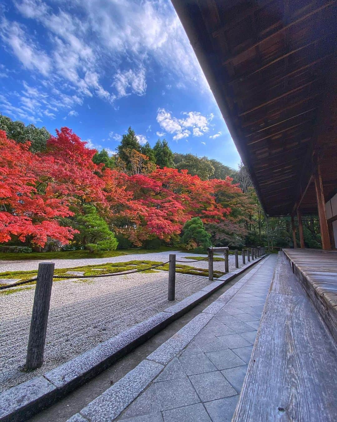 hama_aki_pppさんのインスタグラム写真 - (hama_aki_pppInstagram)「京都市左京区#南禅寺 (スライドして下さい)  Location Kyoto Japan (Swipe)    2020.11.12     #寺院仏閣　 #美しい日本　 #土曜日の小旅行  #そうだ京都行こう　 #関西カメラ部  #日本庭園  #tv_flowers  #total_asia  #amazing_shotz  #top_favorite_shots  #allthingsofbeauty_  #traveljapan  #inspring_shot  #beautiful_kansai  #ippawards #nature_brilliance_flowers  #earthofficial  #japanesetemple  #japanesegarden  #deaf_bestshot_japan  #lovers_united_japan  #ap_japan_  #japanesegarden  #j_flower_shots  #flower_captures」12月5日 17時15分 - hama_aki_ppp