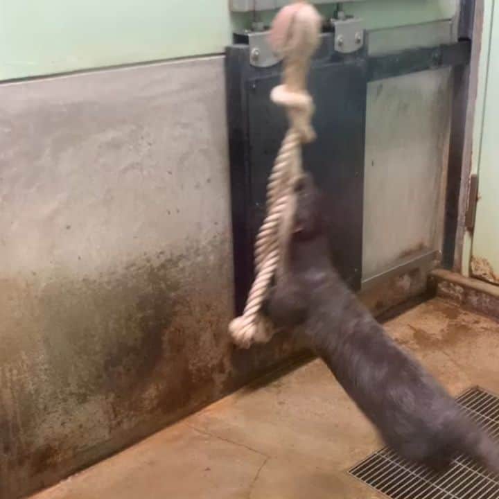 高橋慶彦