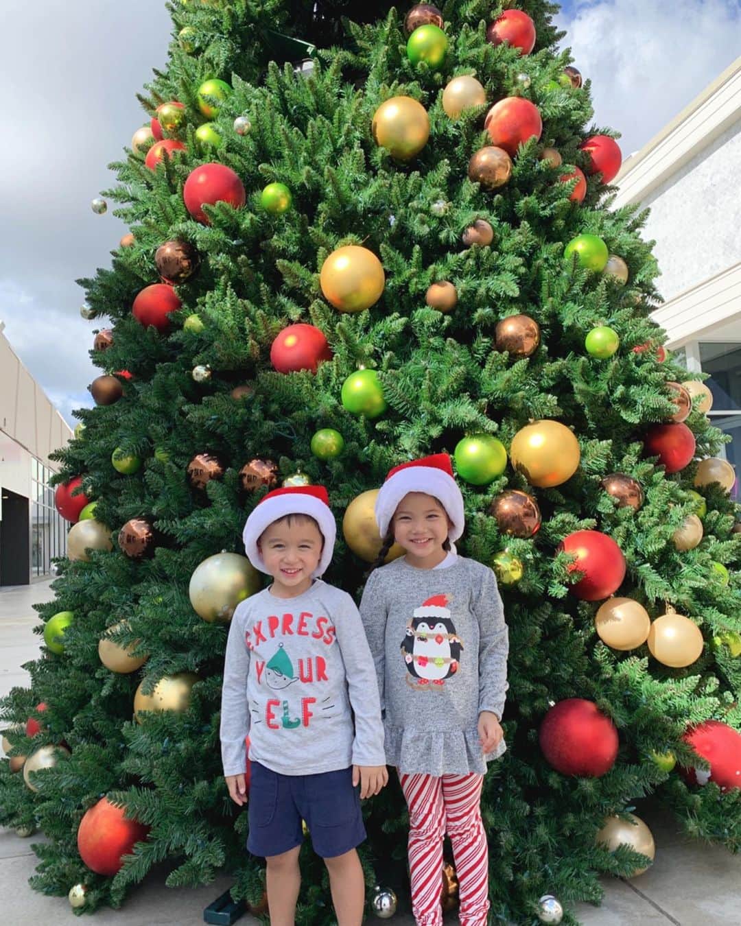 エリナ シルカのインスタグラム：「🎶it’s beginning to look a lot like Christmas 🎶🎅🎄🤶」