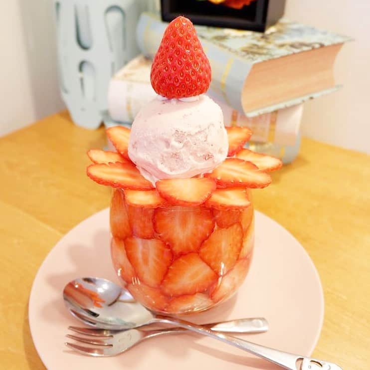 Beaustagrammerのインスタグラム