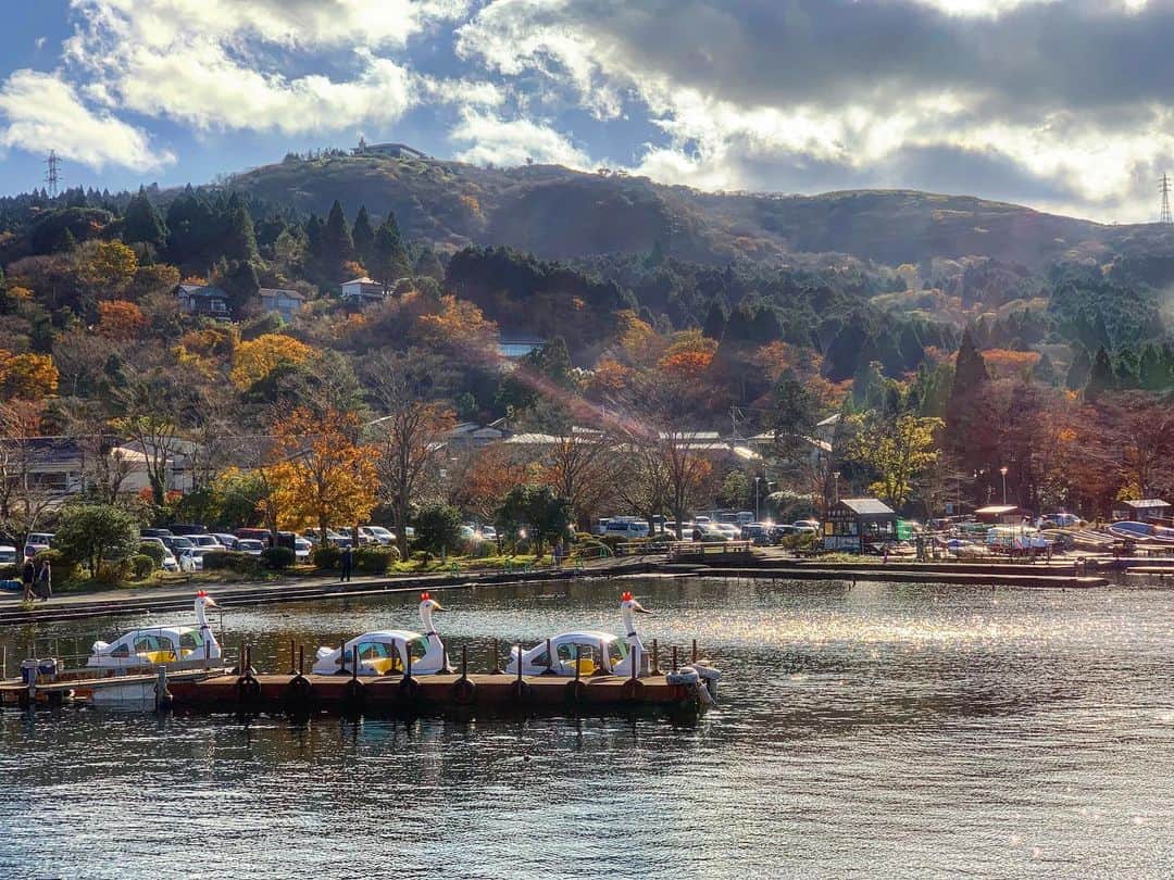 渡辺由布子さんのインスタグラム写真 - (渡辺由布子Instagram)「🍁⛴  箱根の紅葉は今が見頃♡  芦ノ湖遊覧船に乗って湖上から観光したのは初めて！  毎年のように箱根を訪れているはずなのに、移動手段を変えるだけで違った一面に出会えるから、旅はやめられないんだよね。  #おのぼりさん #箱根観光 #箱ぴた #紅葉狩り  #世界の車窓から  #富士山  #GoToキャンペーン  #GoToトラベラー  #GoToTravel #autumnleaves  #autumncolors  #catamaran #sailing #cruising  #MtFuji #tbt🔙📸   📍 #lakeAshi (#芦ノ湖 ) #Hakone (#箱根 ) #🇯🇵」12月5日 18時26分 - watanabe_yuko