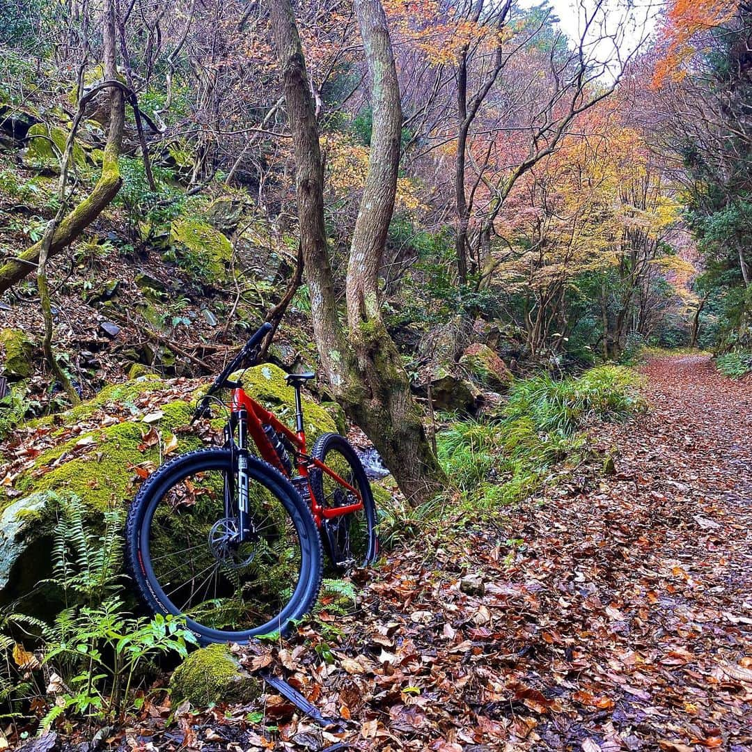 竹谷賢二さんのインスタグラム写真 - (竹谷賢二Instagram)「雨を避けて北上し #紅葉狩り #MTB トレイルツーリング、極寒なれど極上ライドを満喫！ 自然の中に昔の廃道、荒れているところを害獣拡大防止を兼ねて保守整備されている皆様の熱意と、安心信頼して楽しめる仲間と共に、これぞ #大人の休日 #エピックevo は初見の坂も岩も木の根もジャンプも余裕を持ってこなせ、膝と股関節、肘と肩関節を大きく使い荷重抜重をリズミカルに行うと、スイーンスイートと伸びるように進んでくれて #最高に楽しい 乗り味性能だ。 地元皆さんの熱意に応えて #再訪 決定！ #スペシャライズド #セイスカイ #スミス #ガーミン #エンデュアライフ」12月5日 18時39分 - tktakeyakenji