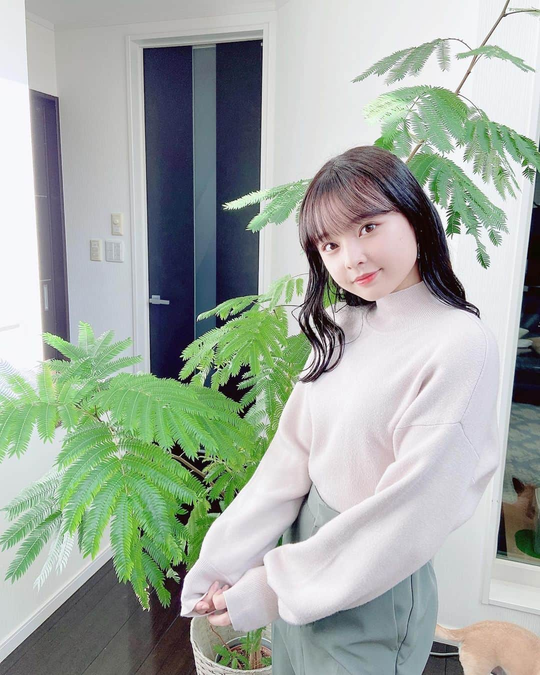 白石佑梨亜さんのインスタグラム写真 - (白石佑梨亜Instagram)「植物にして飾りたい🌳 ,」12月5日 18時56分 - yuria.1