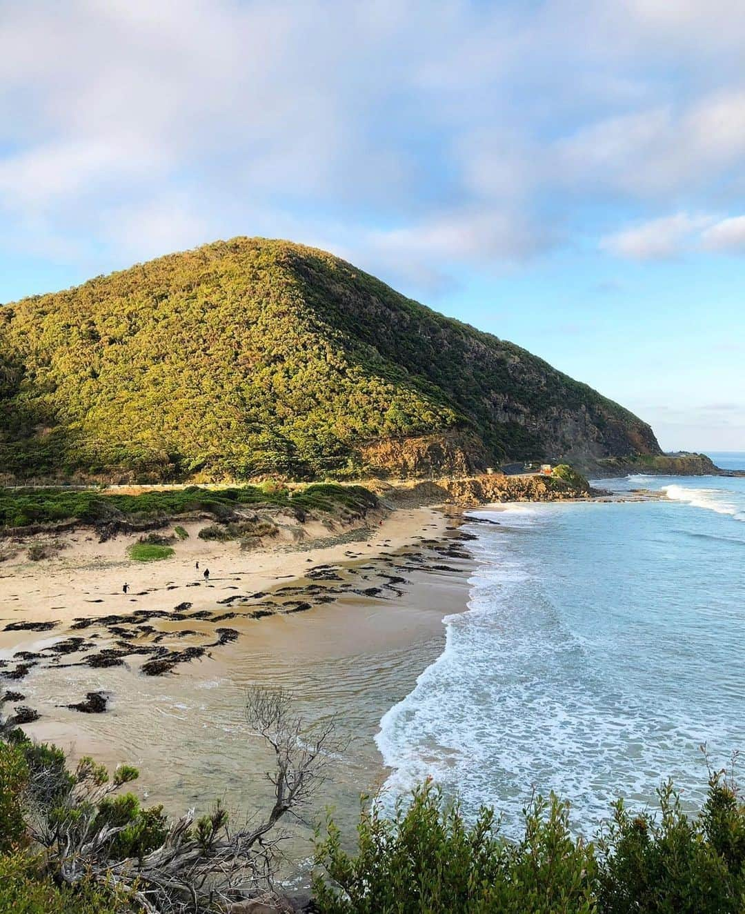 Australiaさんのインスタグラム写真 - (AustraliaInstagram)「This will do just nicely for our morning swim, don’t you think? 🏖️ It’s not just the iconic #TwelveApostles that make the #GreatOceanRoad near @visitmelbourne so special. Views like this one from @_itsbeautifulhere are a dime a dozen along the coast, making it the perfect route for a leisurely road-trip with plenty of stops to marvel at natural wonders like Loch Ard Gorge, the #Grotto, the #Arch and the #BayofIslands. Of course, no trip is complete without some incredible food options. @12apostlesfoodartisans has the ultimate gourmet trail map, brimming with local artisans like @gorgechocolates, @Schulzorganicdairy, @Abeckettscreekbeef and @sowandpiglets. #visitmelbourne #visitvictoria #12apostlesfoodartisans #holidayherethisyear」12月5日 19時00分 - australia