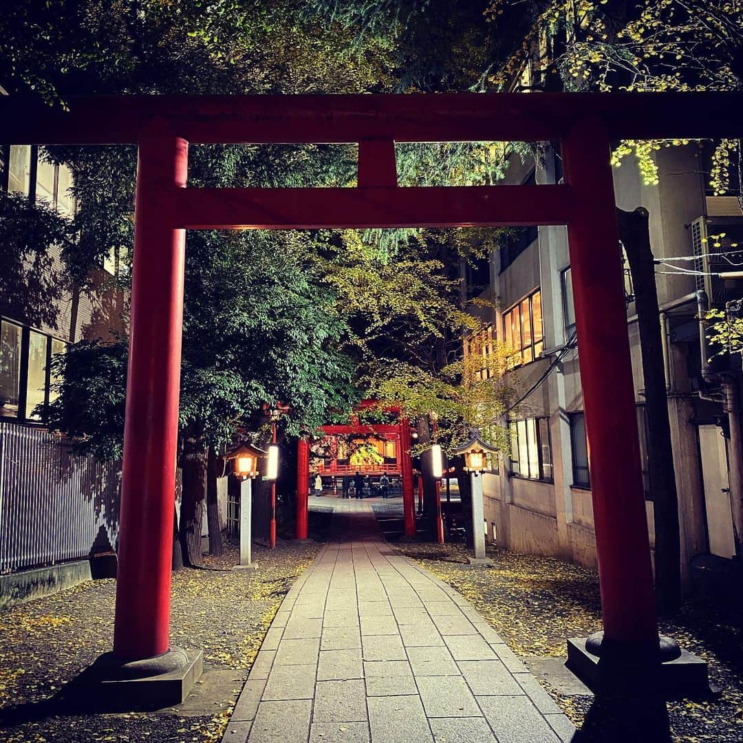 五箇公貴さんのインスタグラム写真 - (五箇公貴Instagram)「この道が好きです。」12月5日 19時10分 - kimitakagoka