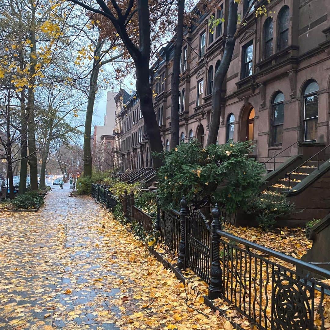 Helena Glazer Hodneのインスタグラム：「a rainy morning in brooklyn 🌧」