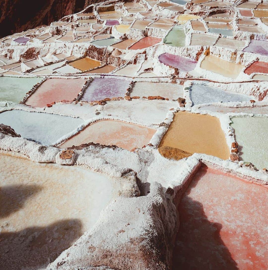 のインスタグラム：「Paint palette 🎨 #aliceMcCALL」
